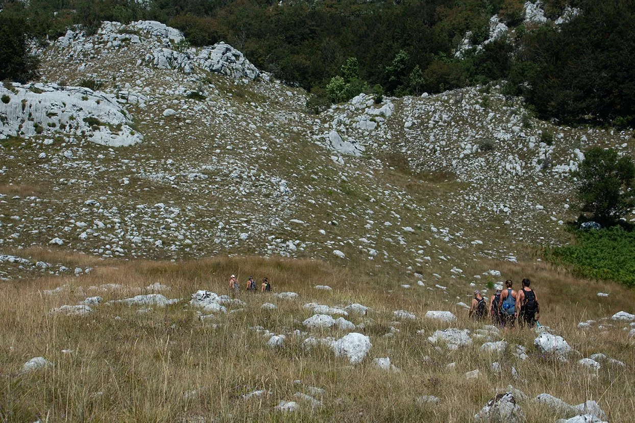 Group of hikers walking through a grassy field with rocks towards a rocky hillside covered with small shrubs and trees.