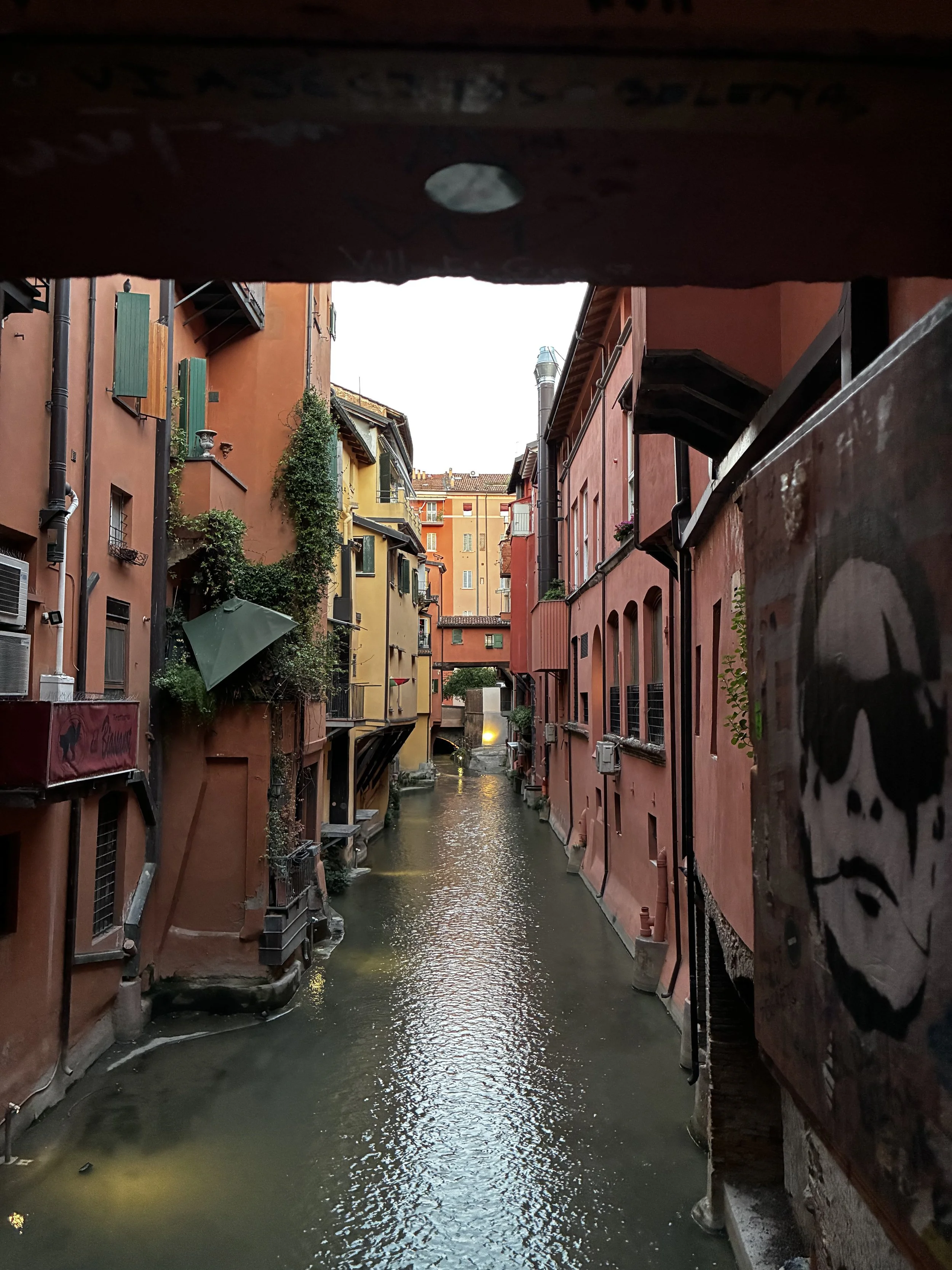 IMG_1848.jpeg