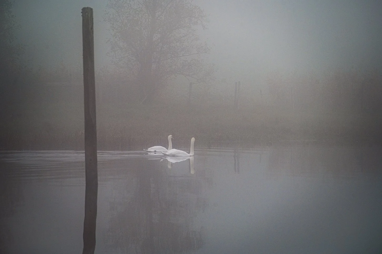 #kortreist #homegrown