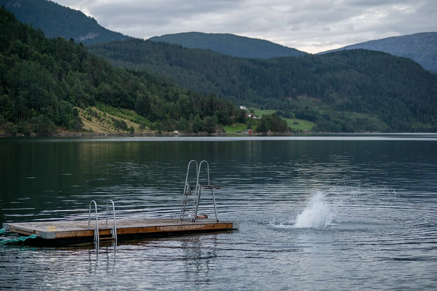 A wooden dock with metal ladders extends into a calm lake, with the water shimmering and a splash near the right side. In the background, there are forested hills and mountains under a cloudy sky.