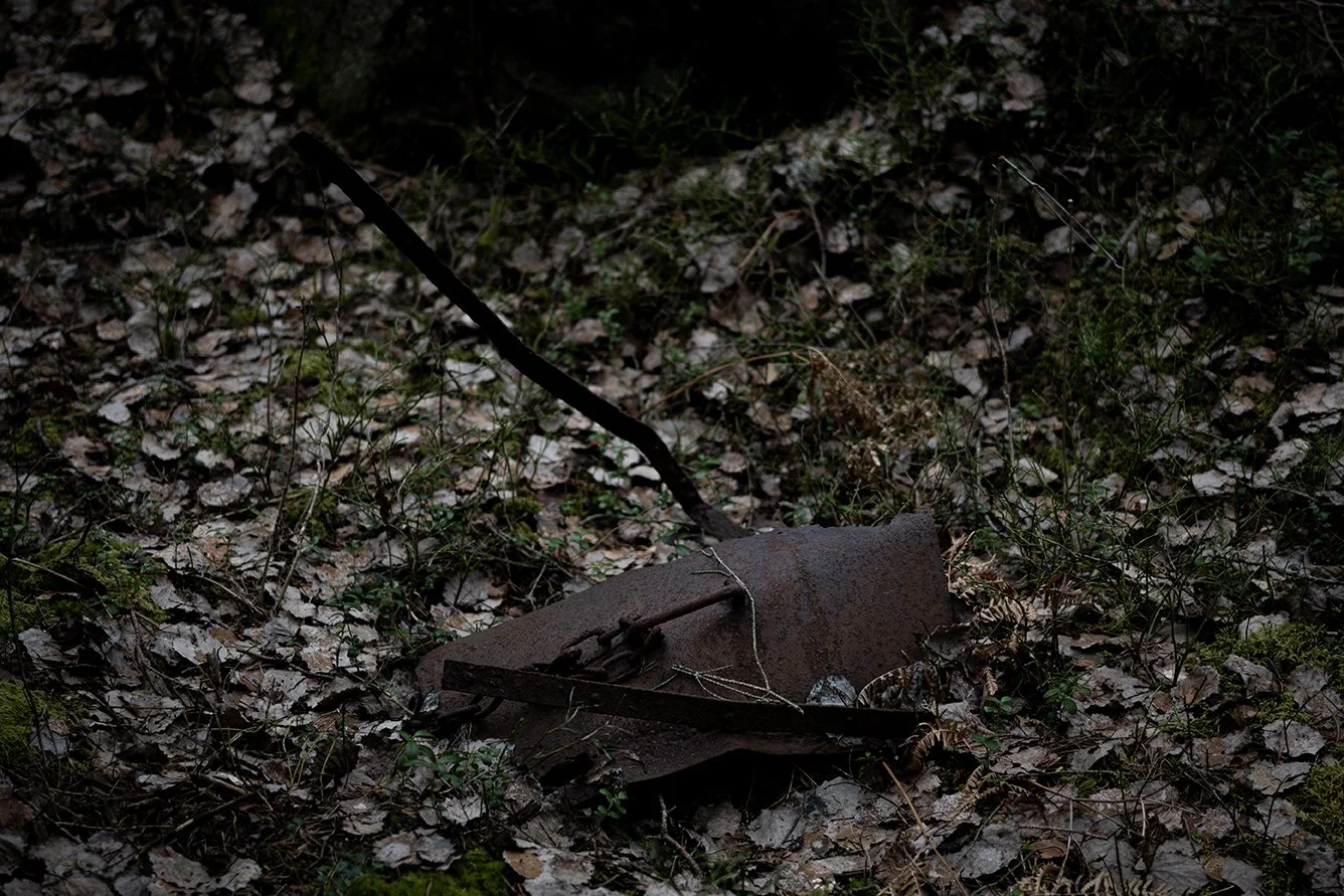 A rusted, abandoned shovel lies on a forest floor covered with dry leaves and small plants.