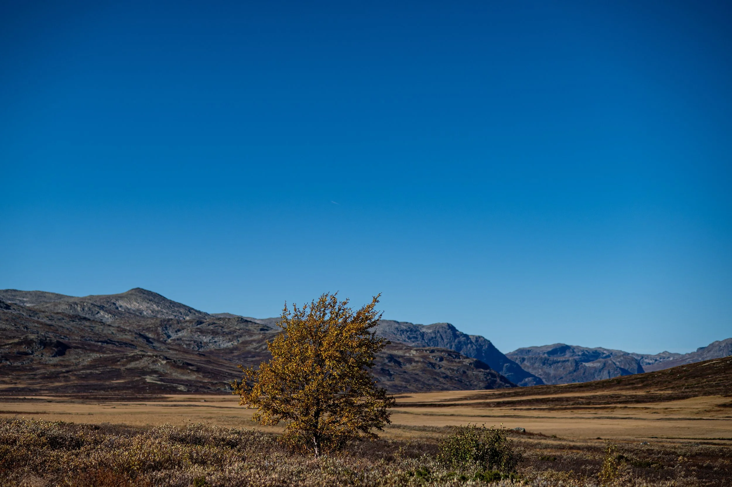 Autumn in Hemsedal (open to see more) | Nikon Z6II, digital
