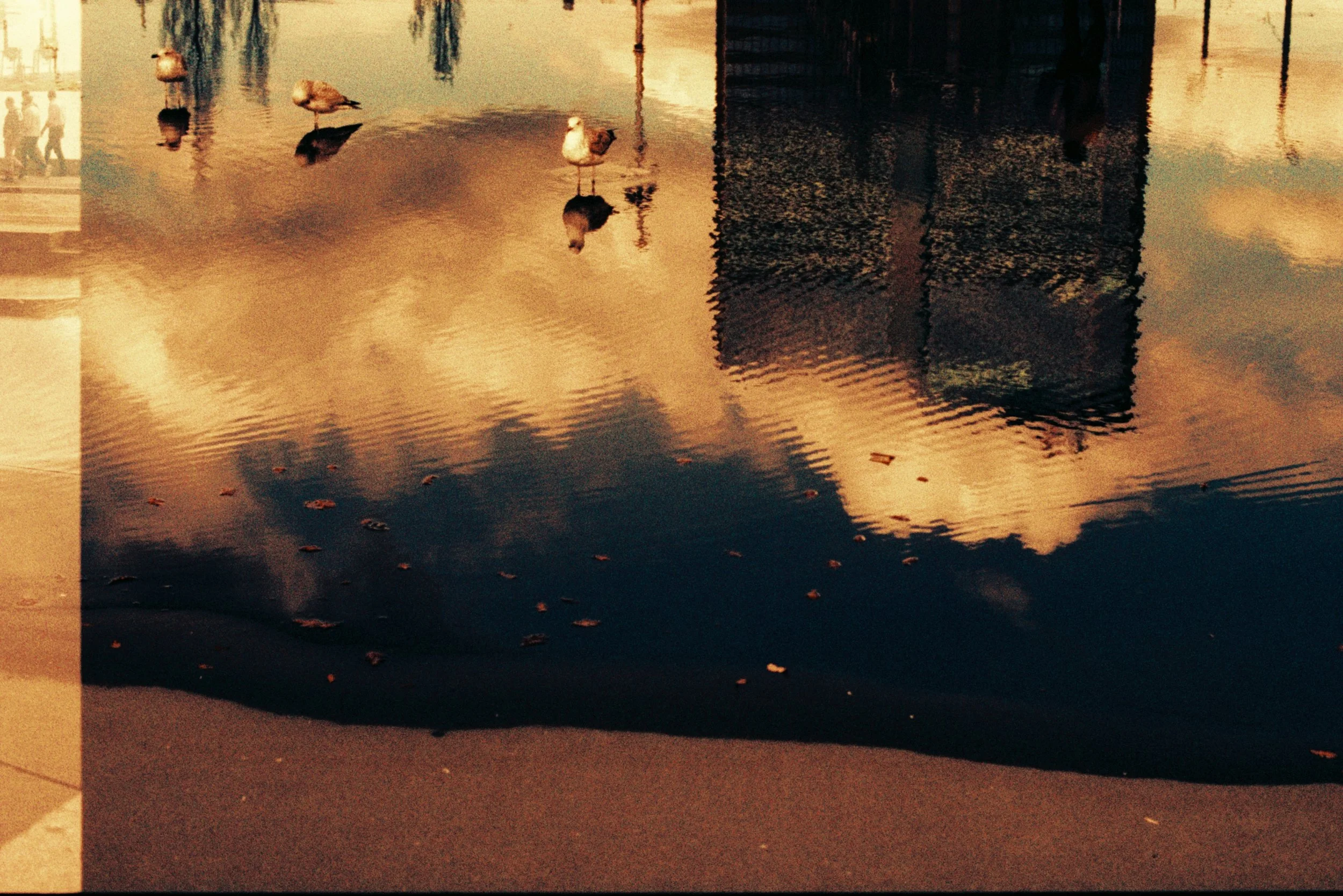 Postgirobygget | Nikon F3T, 35mm film