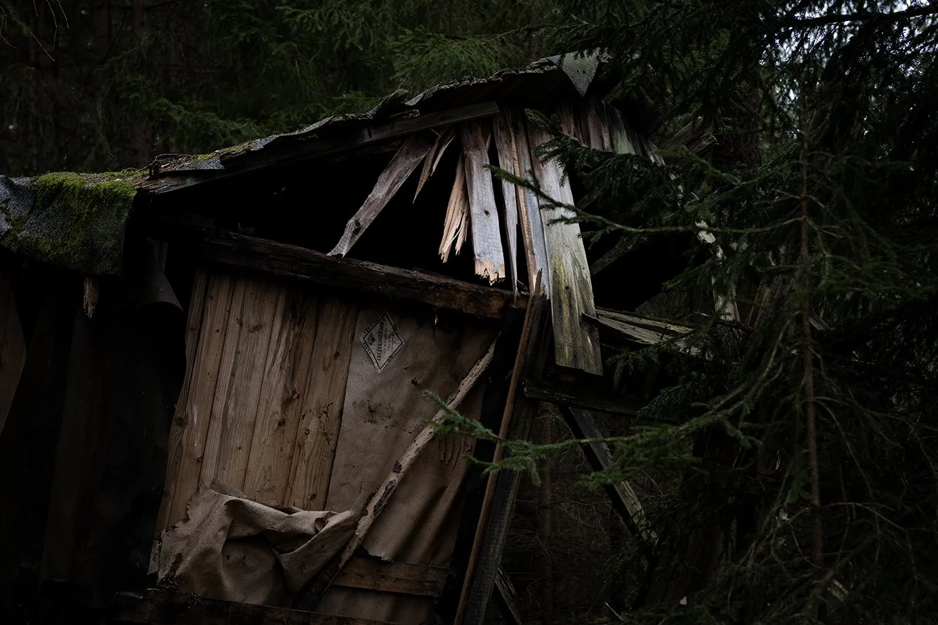 An old, dilapidated wooden shed with broken and rotting wood, surrounded by dense trees and greenery.