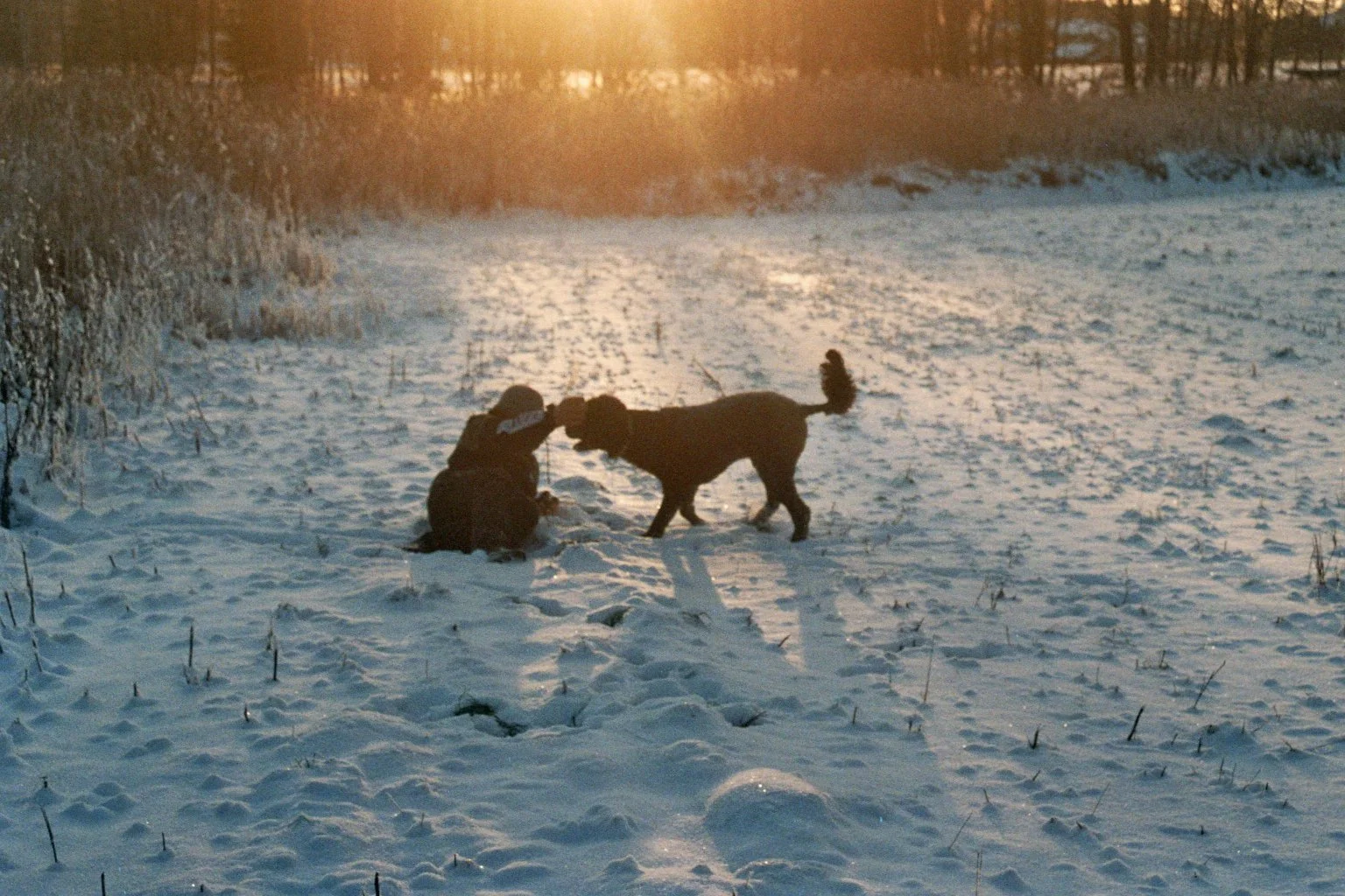 Felix and Milo | Nikon FG-20, 35mm-film