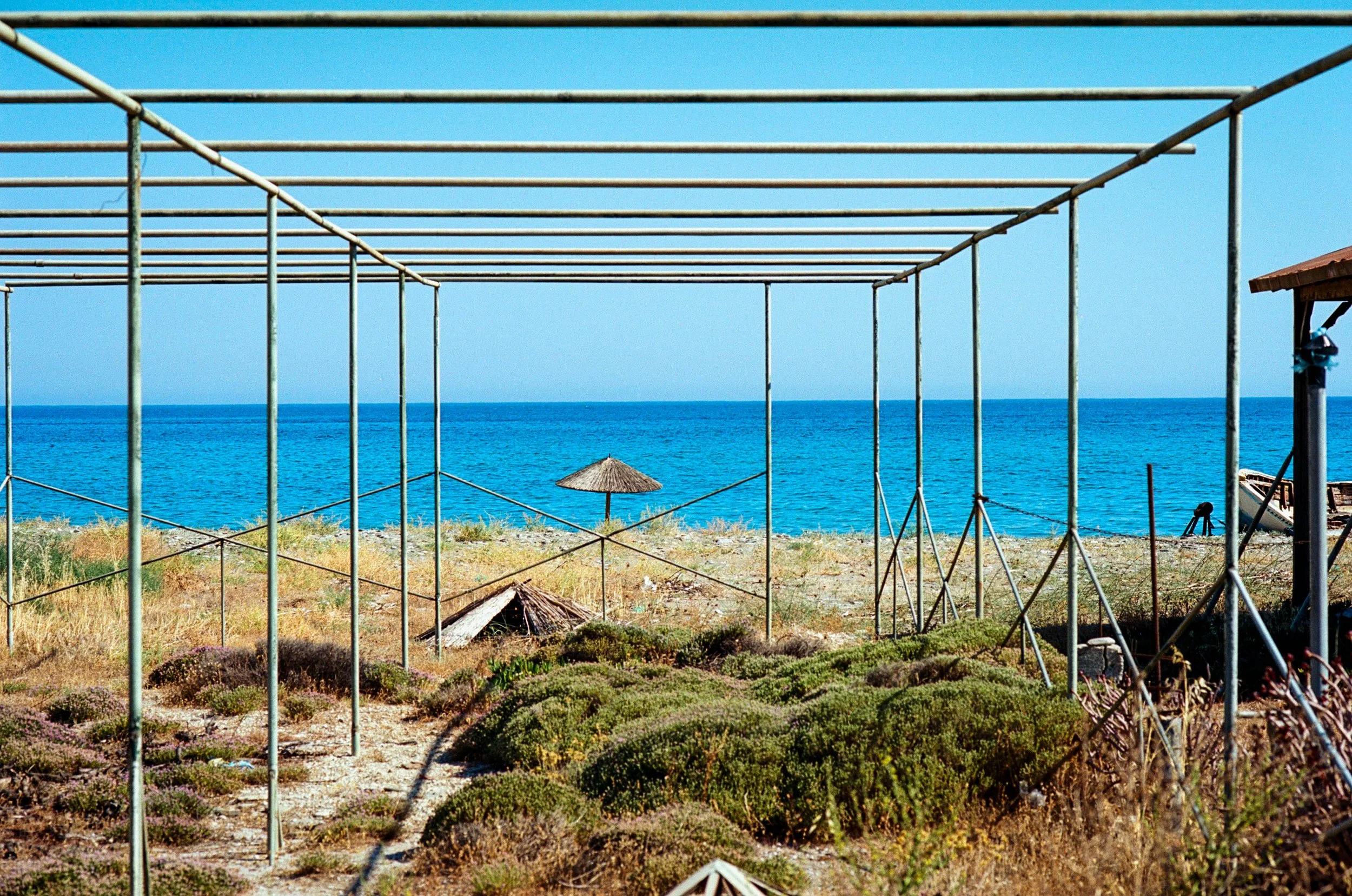 Grid | Nikon F3 | Ektar 100