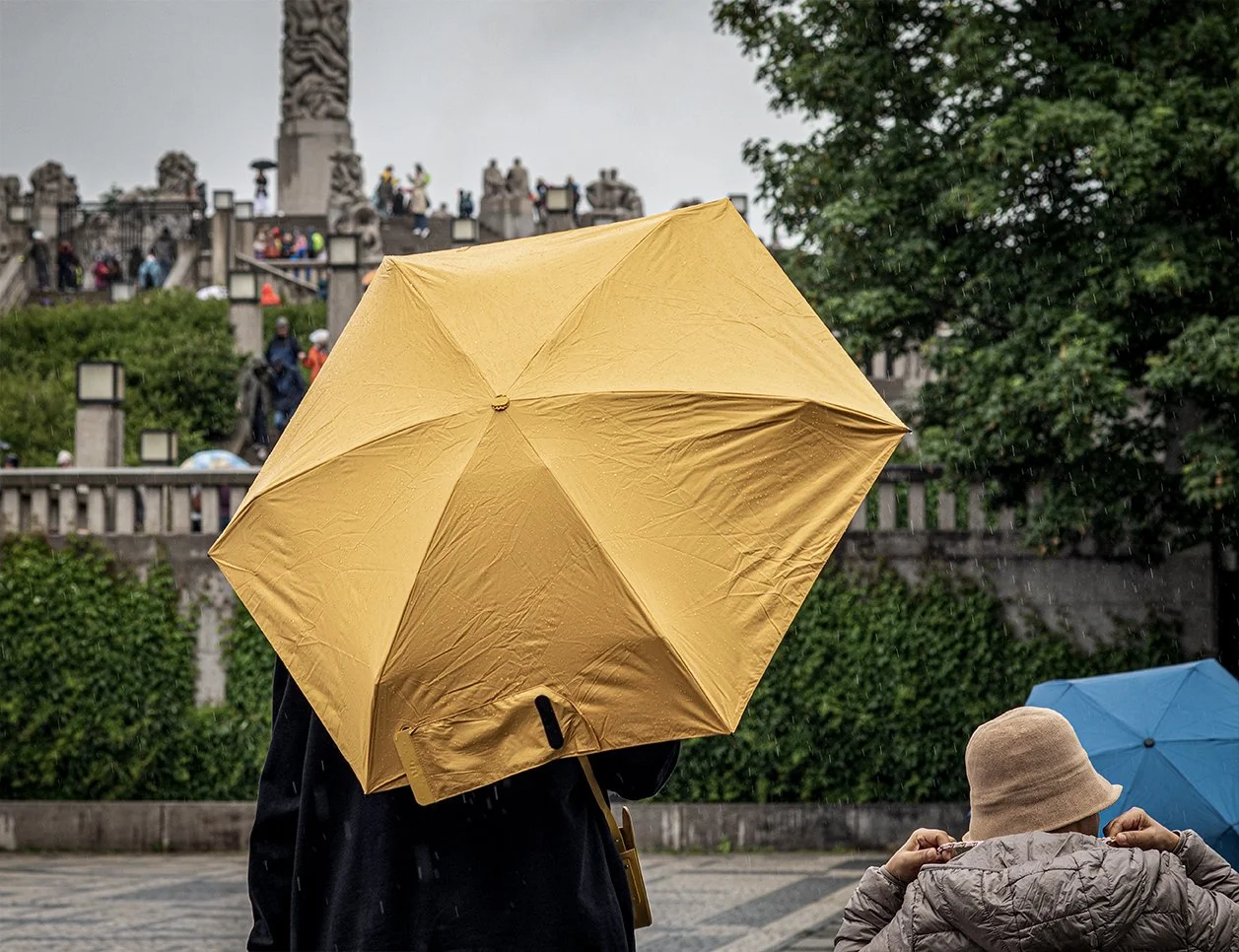 Les parapluies (open to see more) | Nikon Z6II, digital