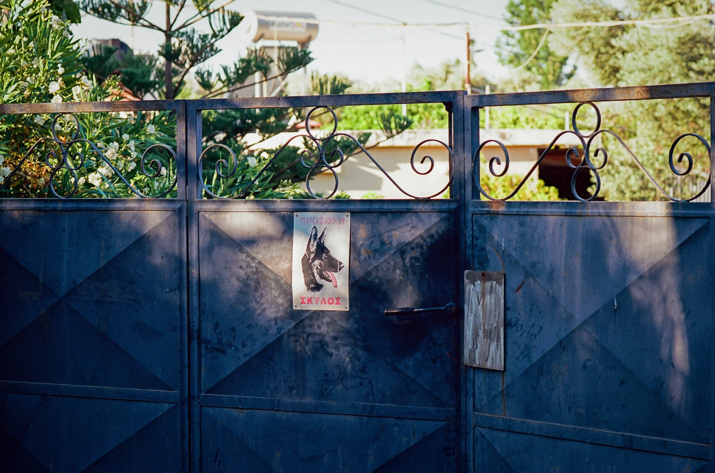 Beware the dog | Nikon F3 | Ektar 100