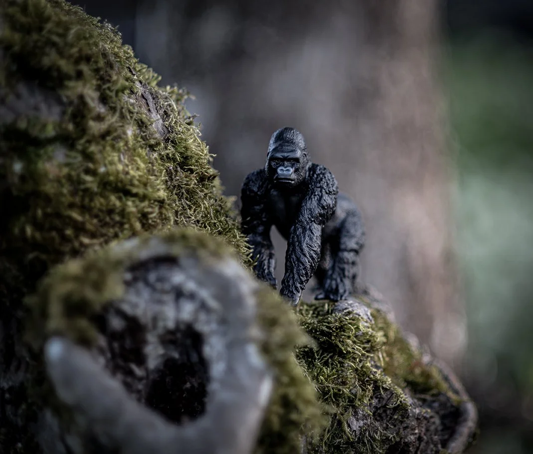 Adopt a gorilla (one click away)