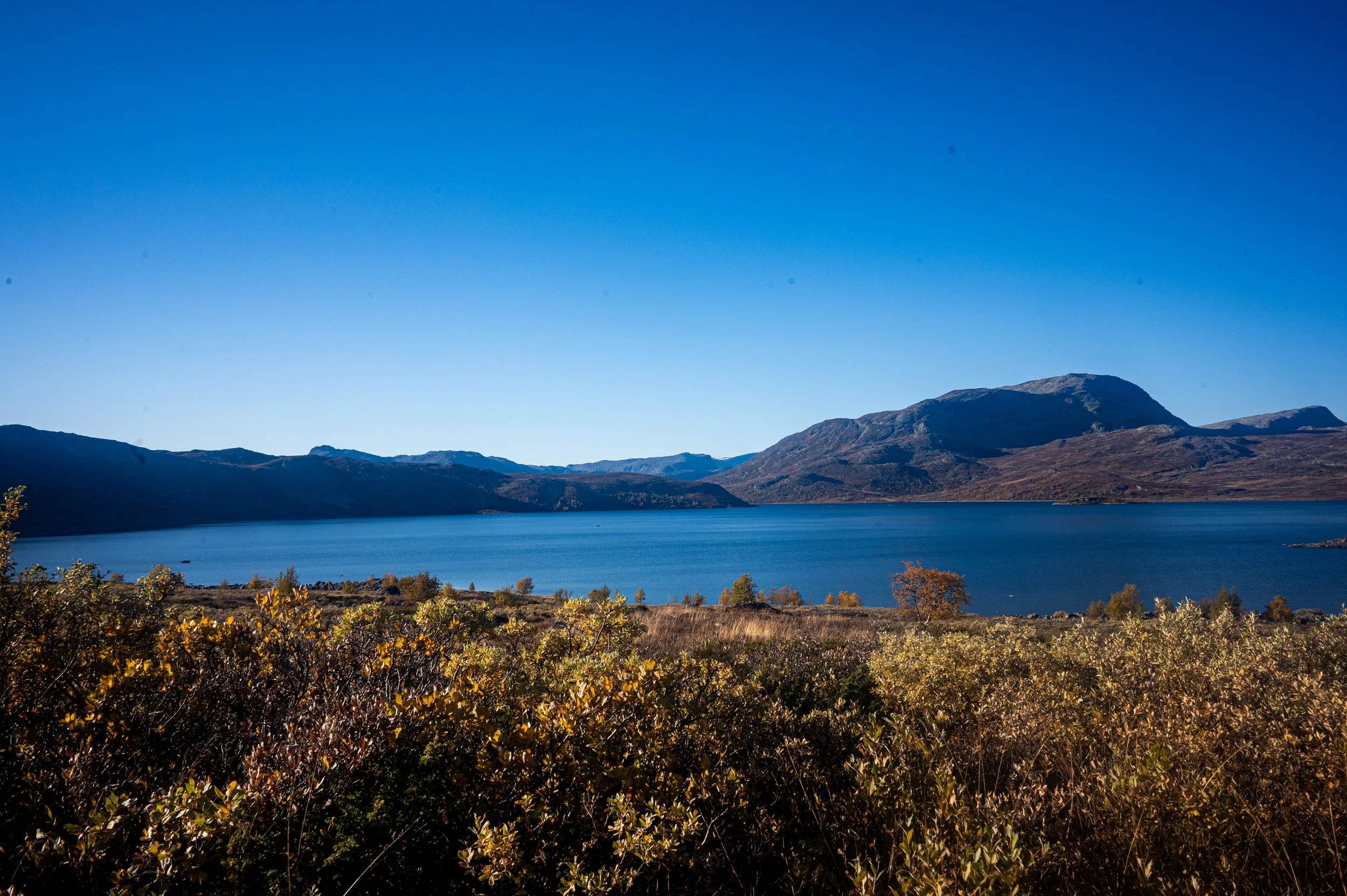 Scenic view of a mountain lake with clear blue water, surrounded by hills and mountains under a bright blue sky, with autumn-colored bushes in the foreground.