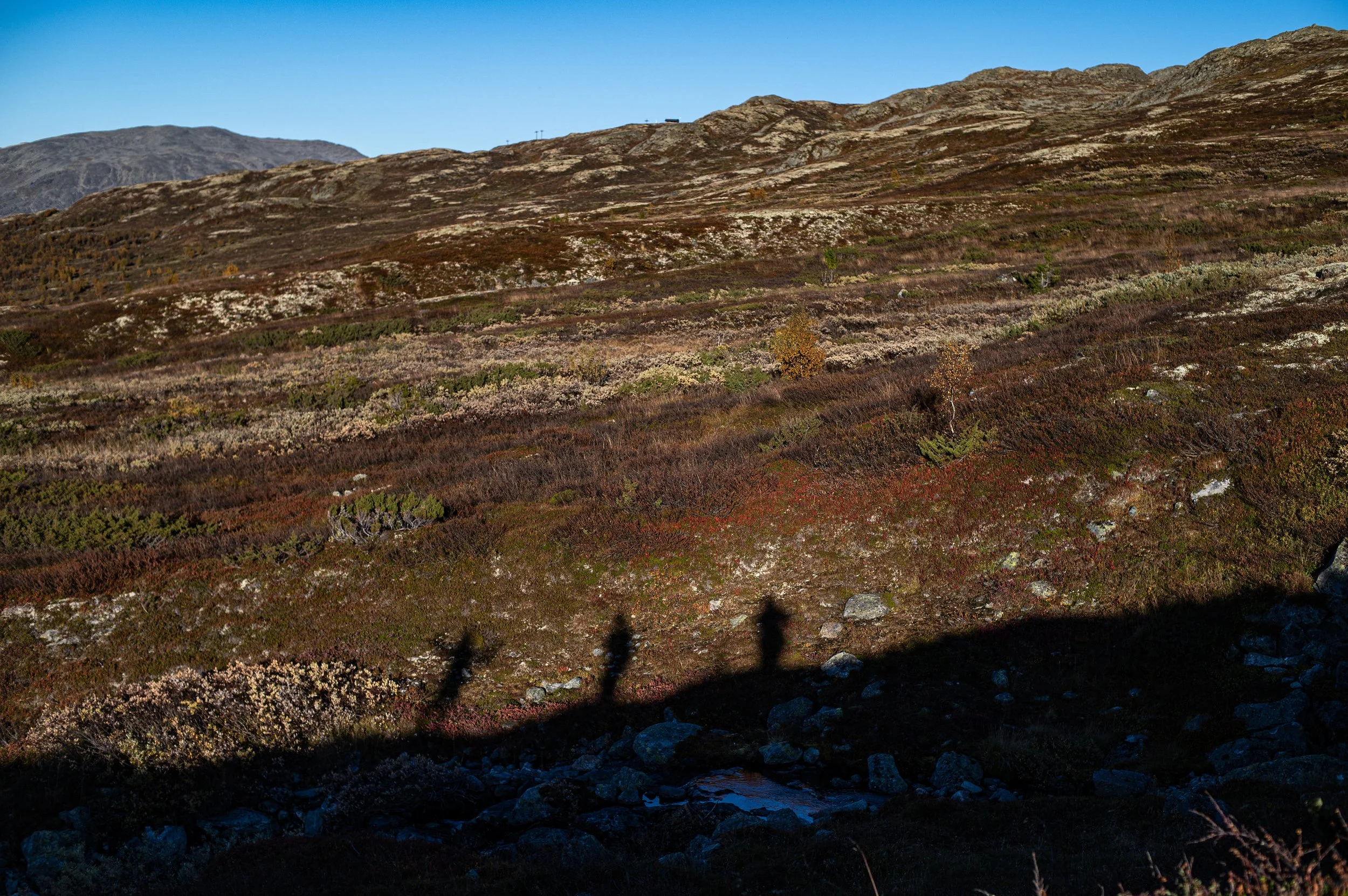 Mountain landscape with various plants and rocks, shadows in the foreground, and a clear blue sky.