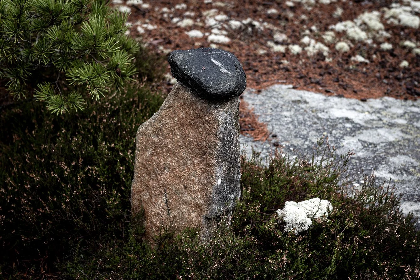 A stone sculpture of a mushroom in a garden surrounded by green plants, with a large flat rock and small patches of white lichen nearby.
