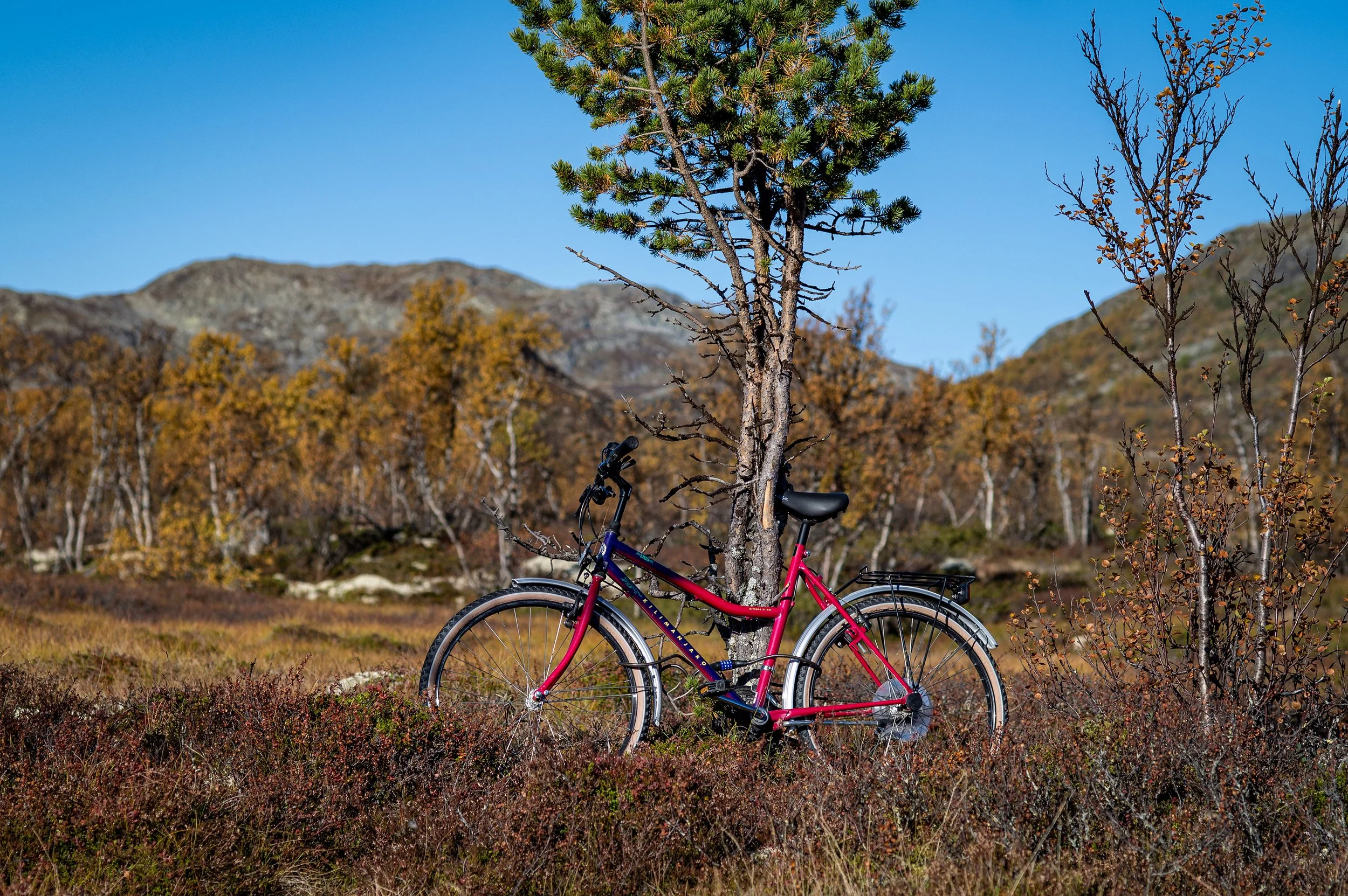 A red bicycle leaning against a small tree in a natural landscape with dry shrubs, autumn trees, mountain background, and a clear blue sky.