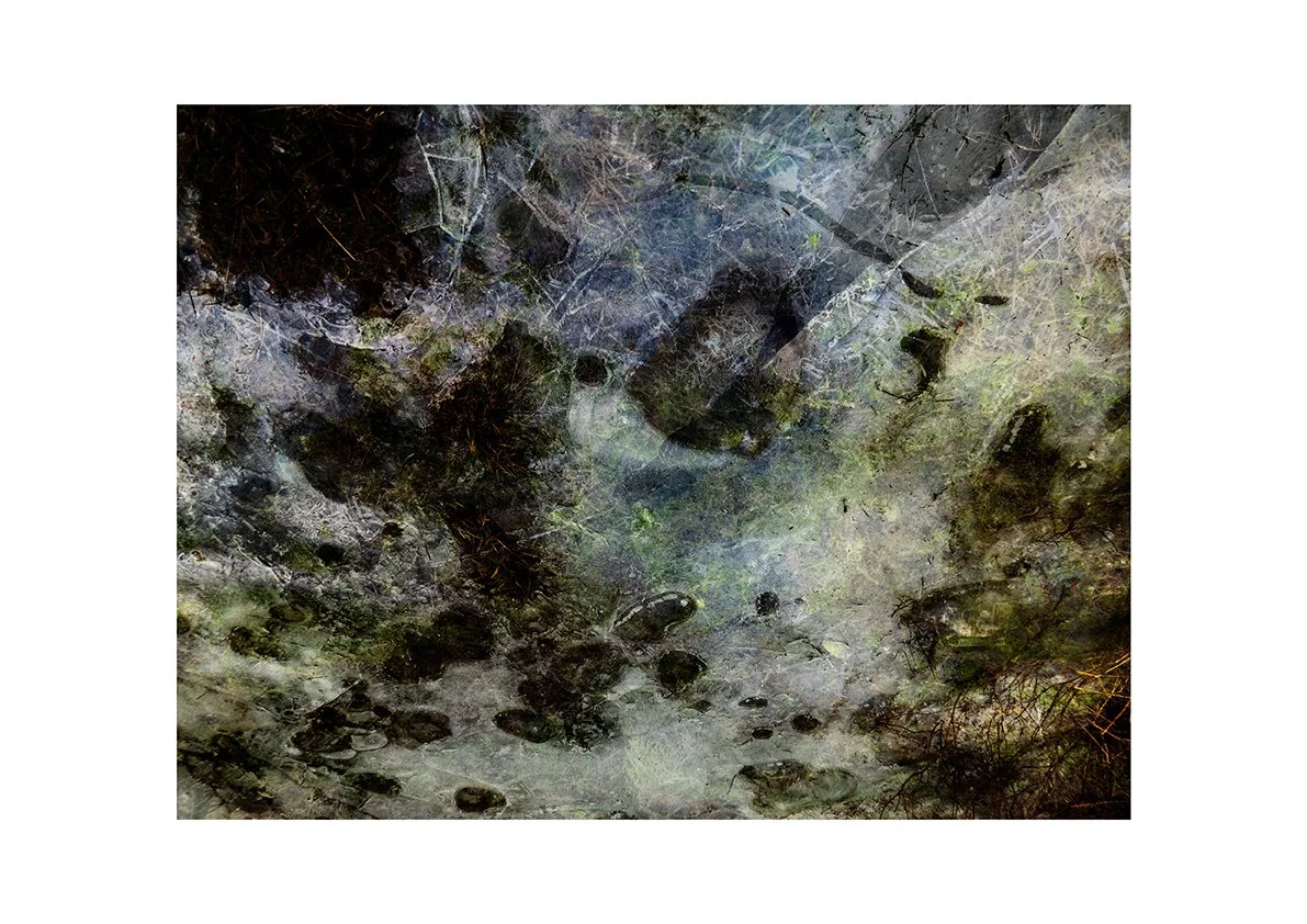 Digitally edited photography. Nature in layers.