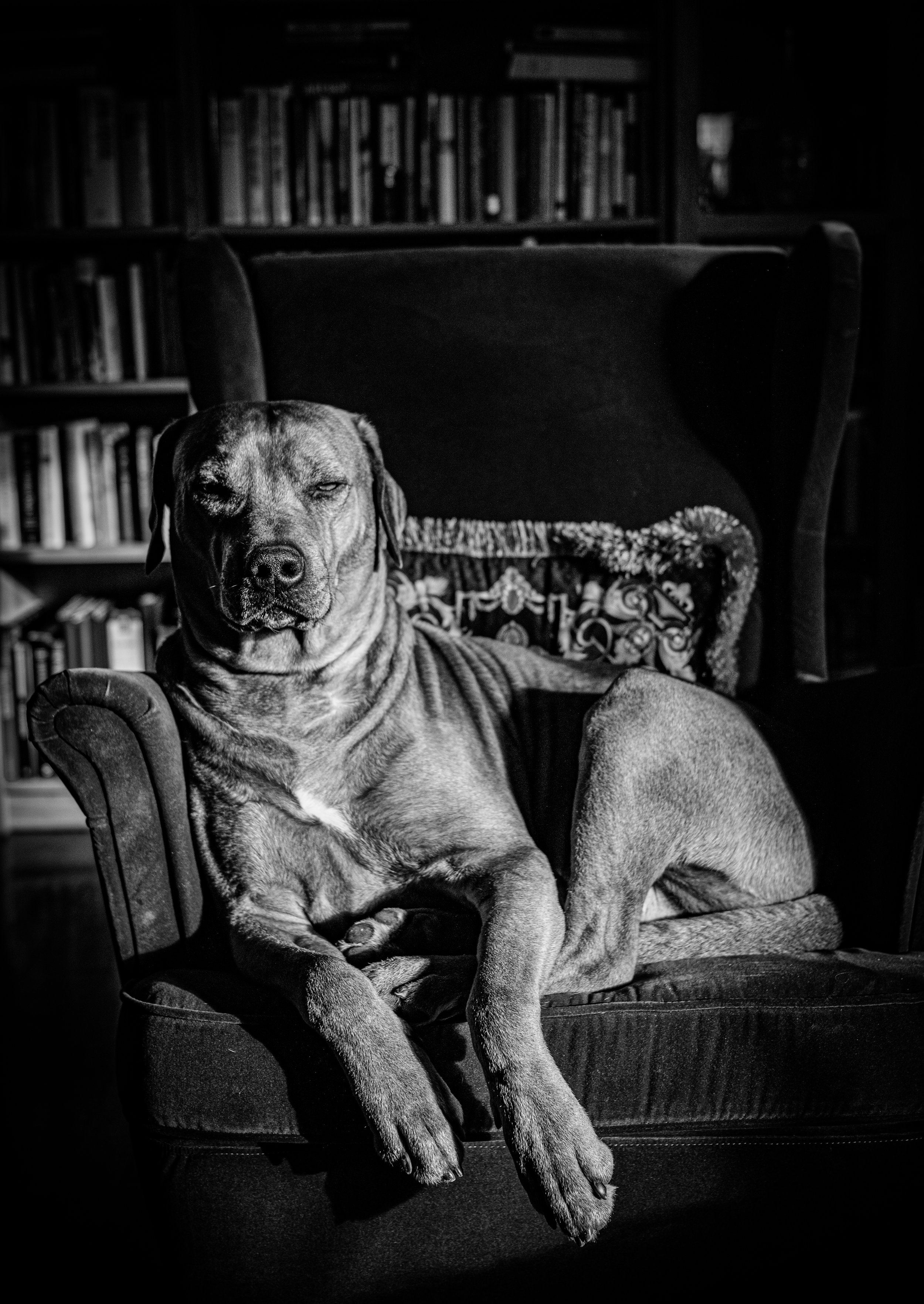 #observations #bruno