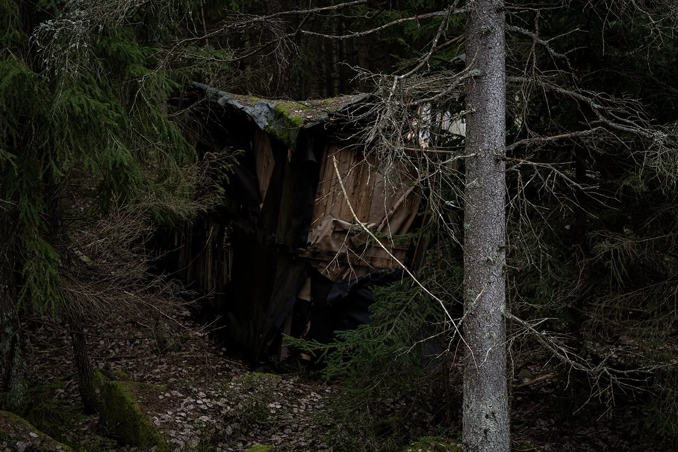 An old, deteriorated wooden shack or shed in a dense forest, surrounded by tall trees and overgrown with moss and branches.