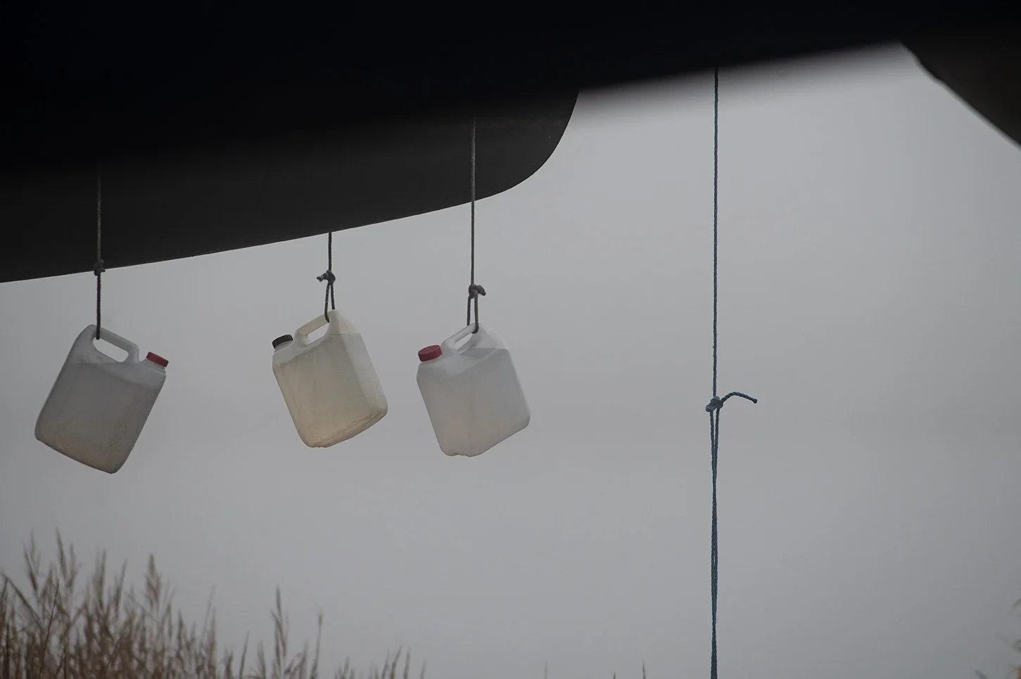 Morgentåke | Misty Morning (open to se more), Nikon Z6 II