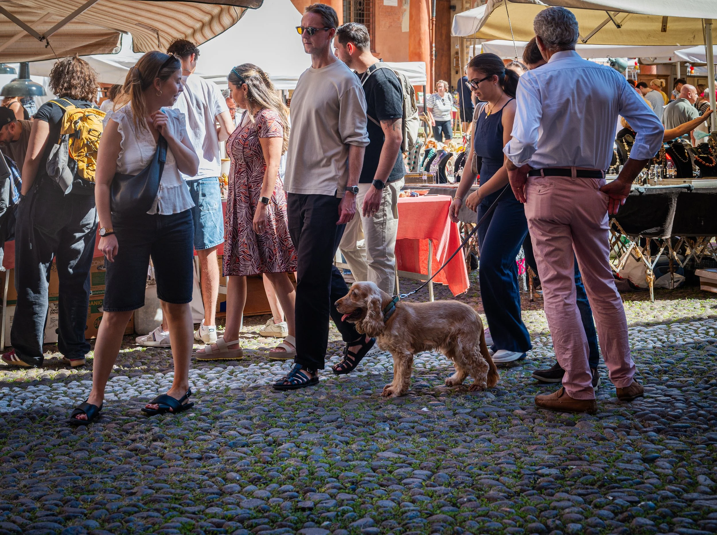 #Bologna #Mercato Antiquario #Piazza Santo Stefano #Vovve