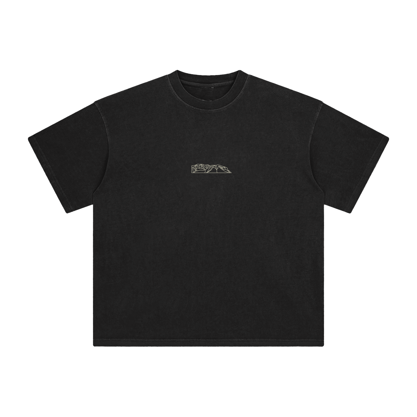 2026 Race Tee Enzyme Washed T-Shirt