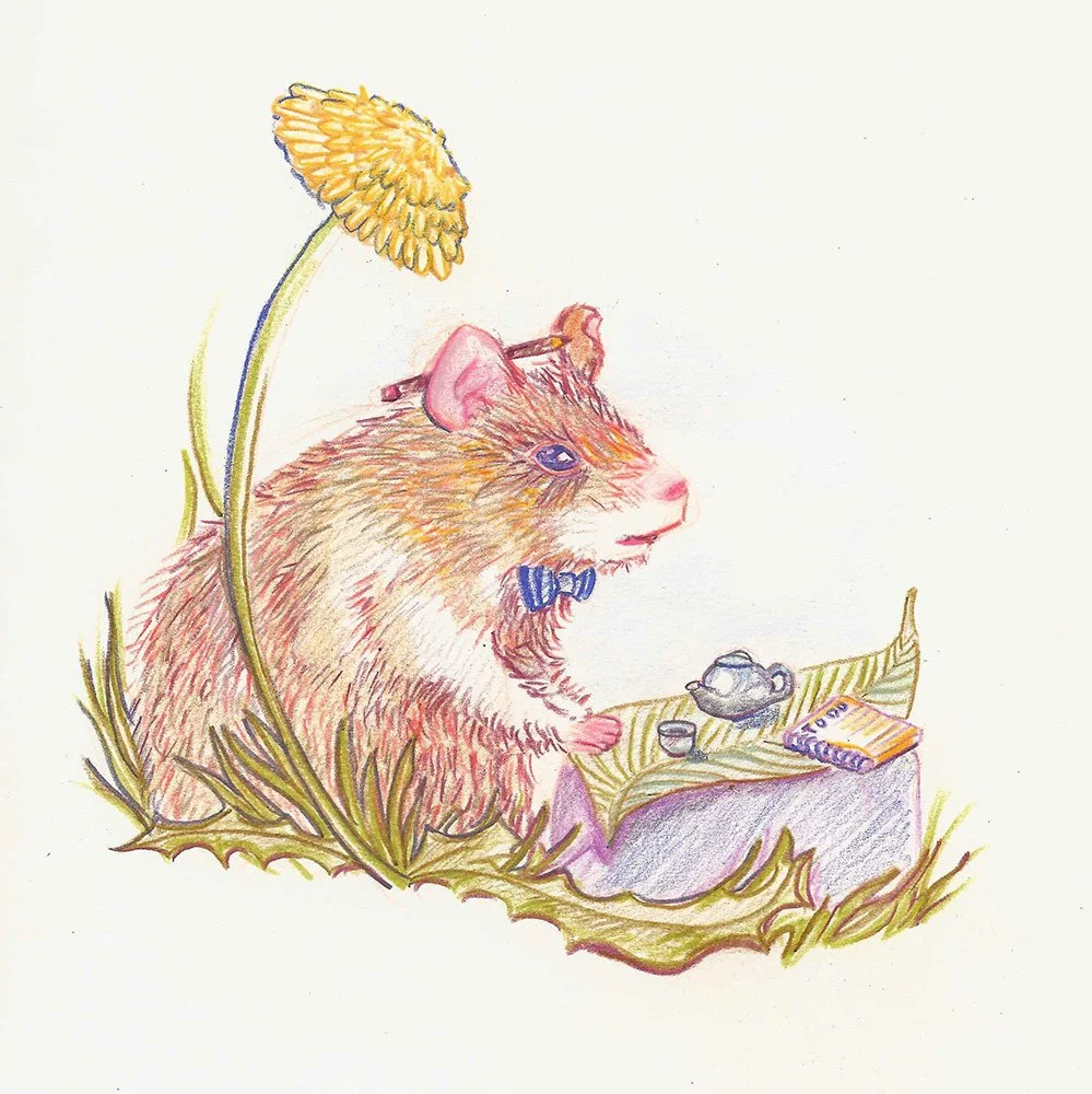 Motion Design List Pending