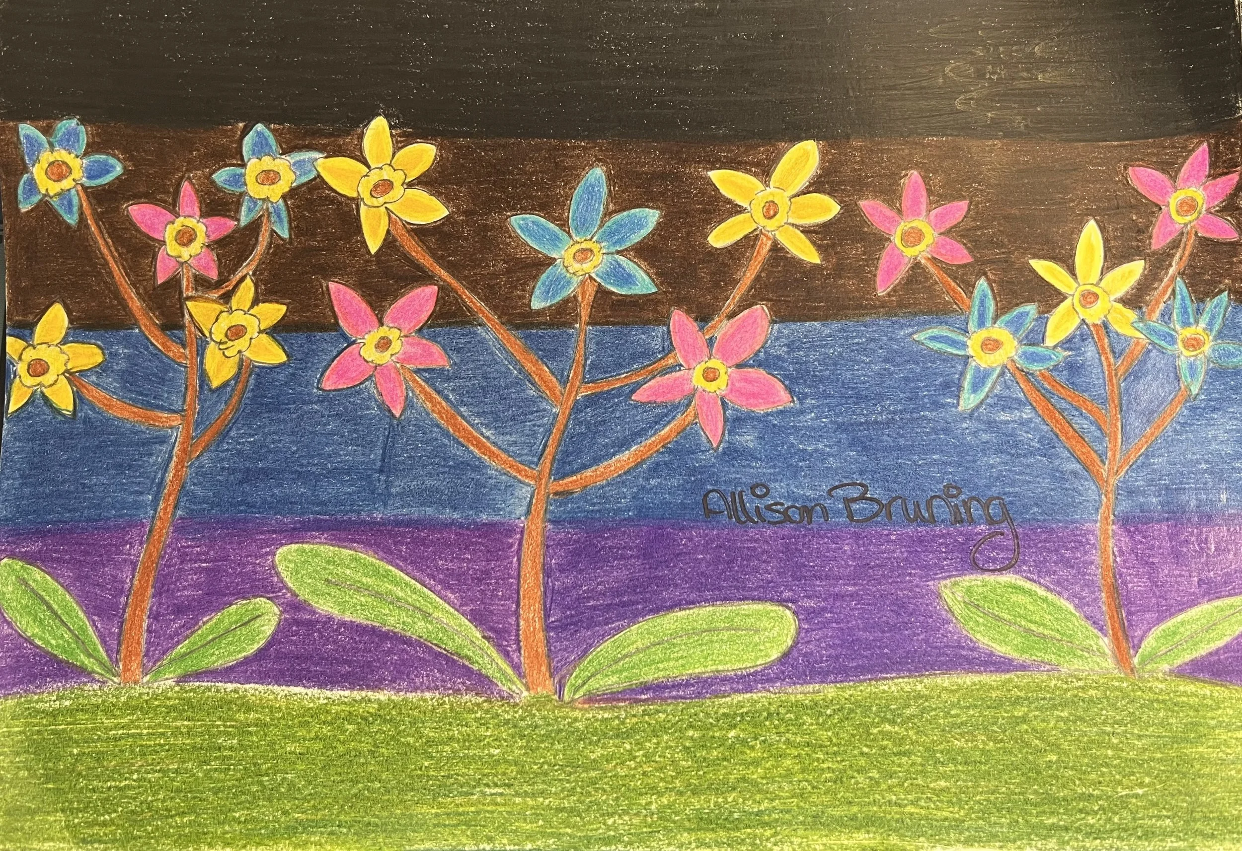 Nightly Forget Me Nots