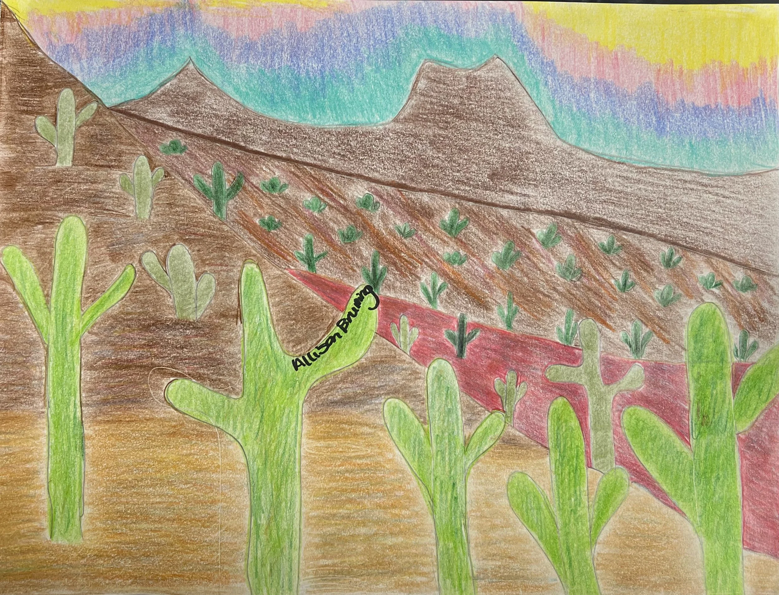 Arizona