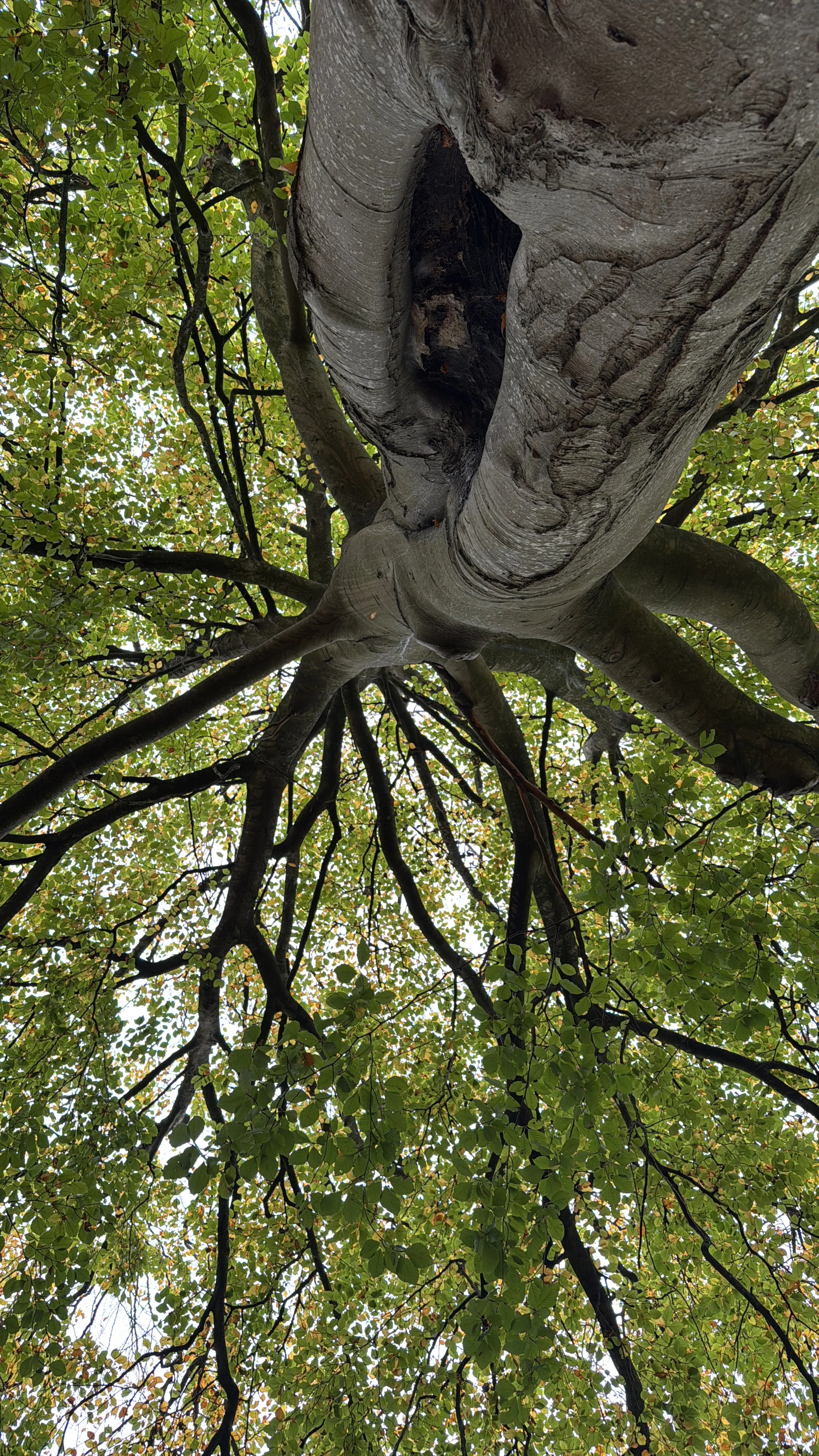 Workshop facilitation