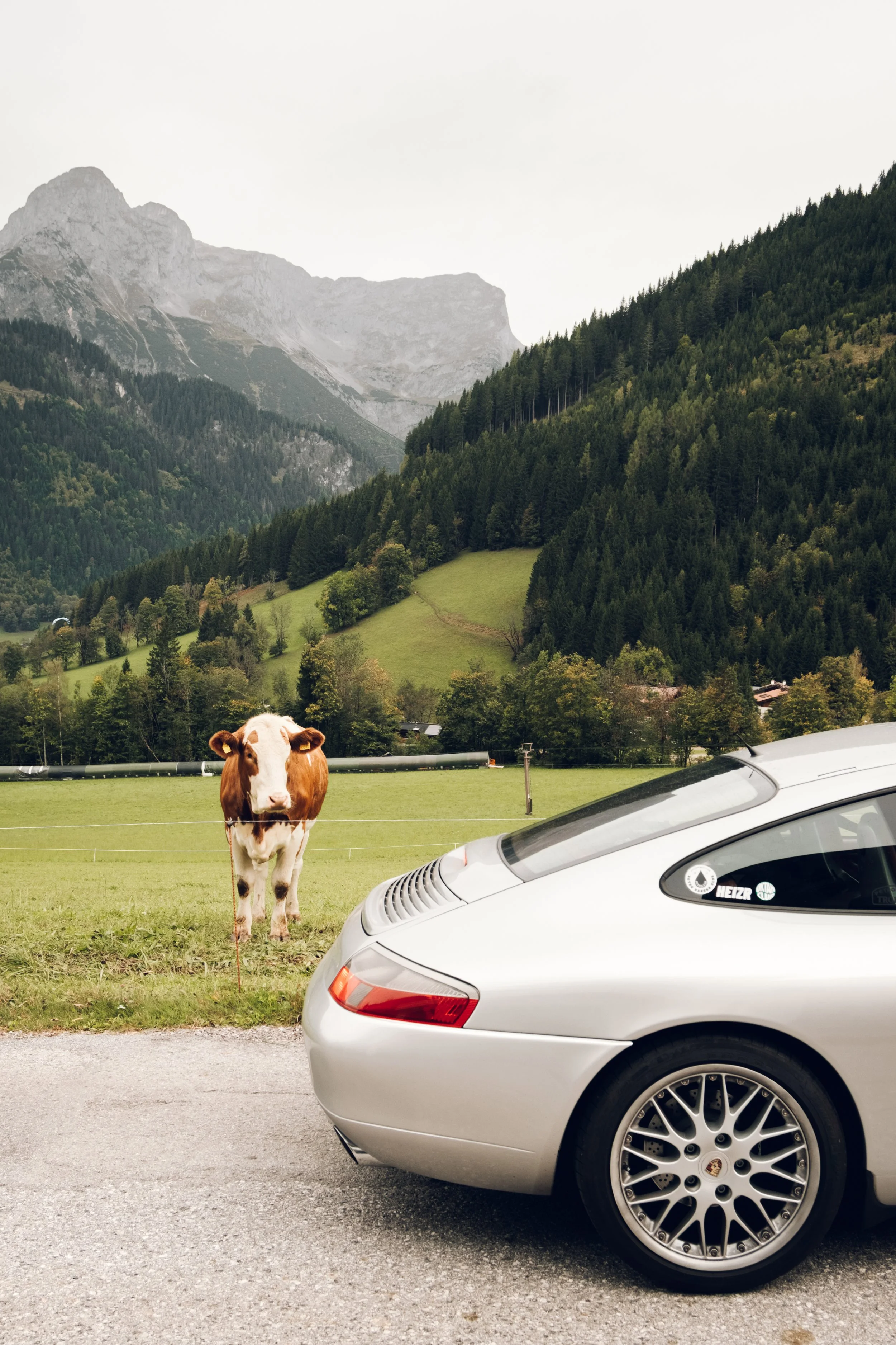 Ein silberner Porsche-Sportwagen parkt an einer Straße vor grünen Wiesen mit einer Kuh und einer Berglandschaft im Hintergrund.