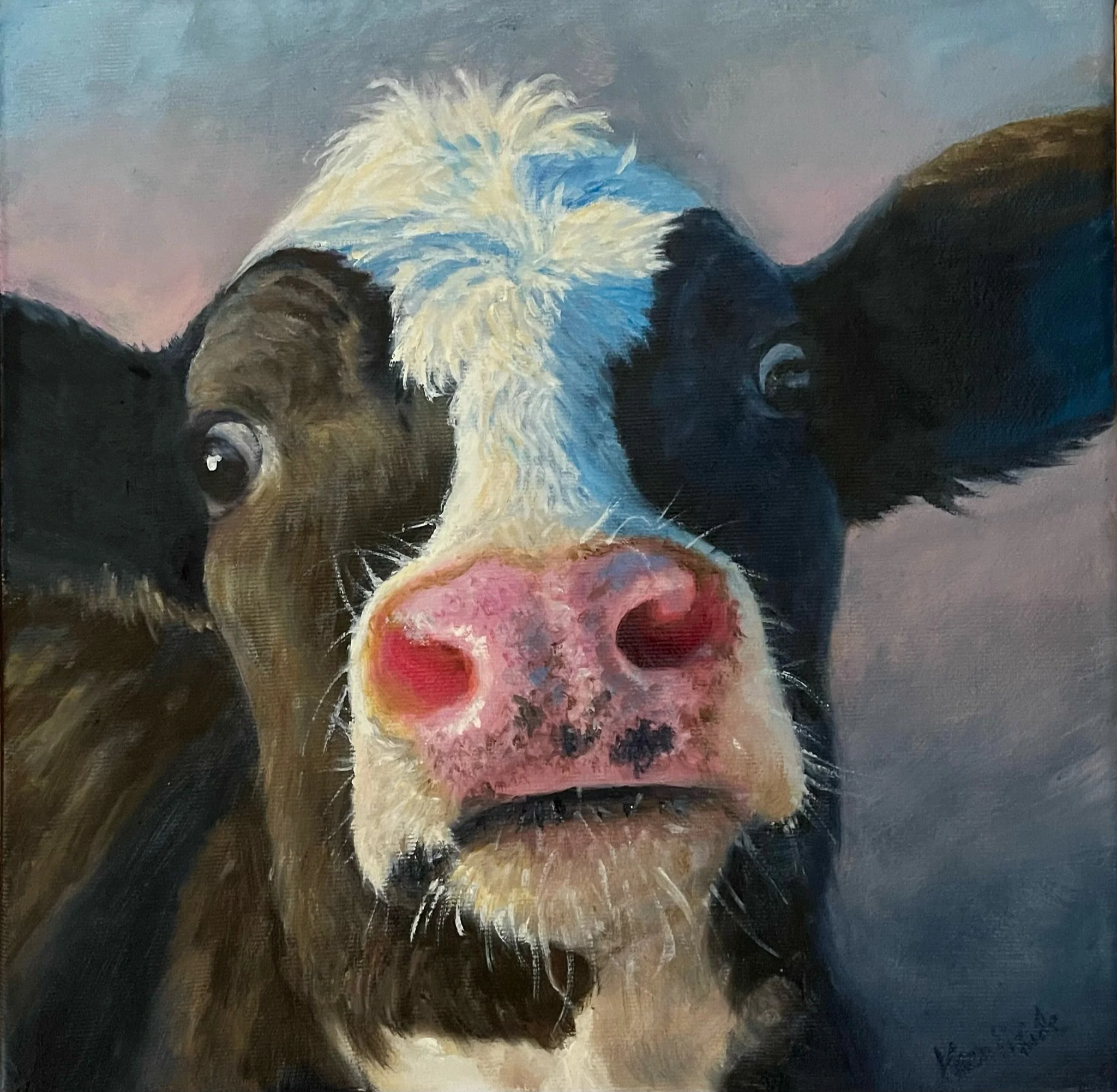 Can I kiss you? Holstein Heifer 12”x12” Oil on canvas SOLD