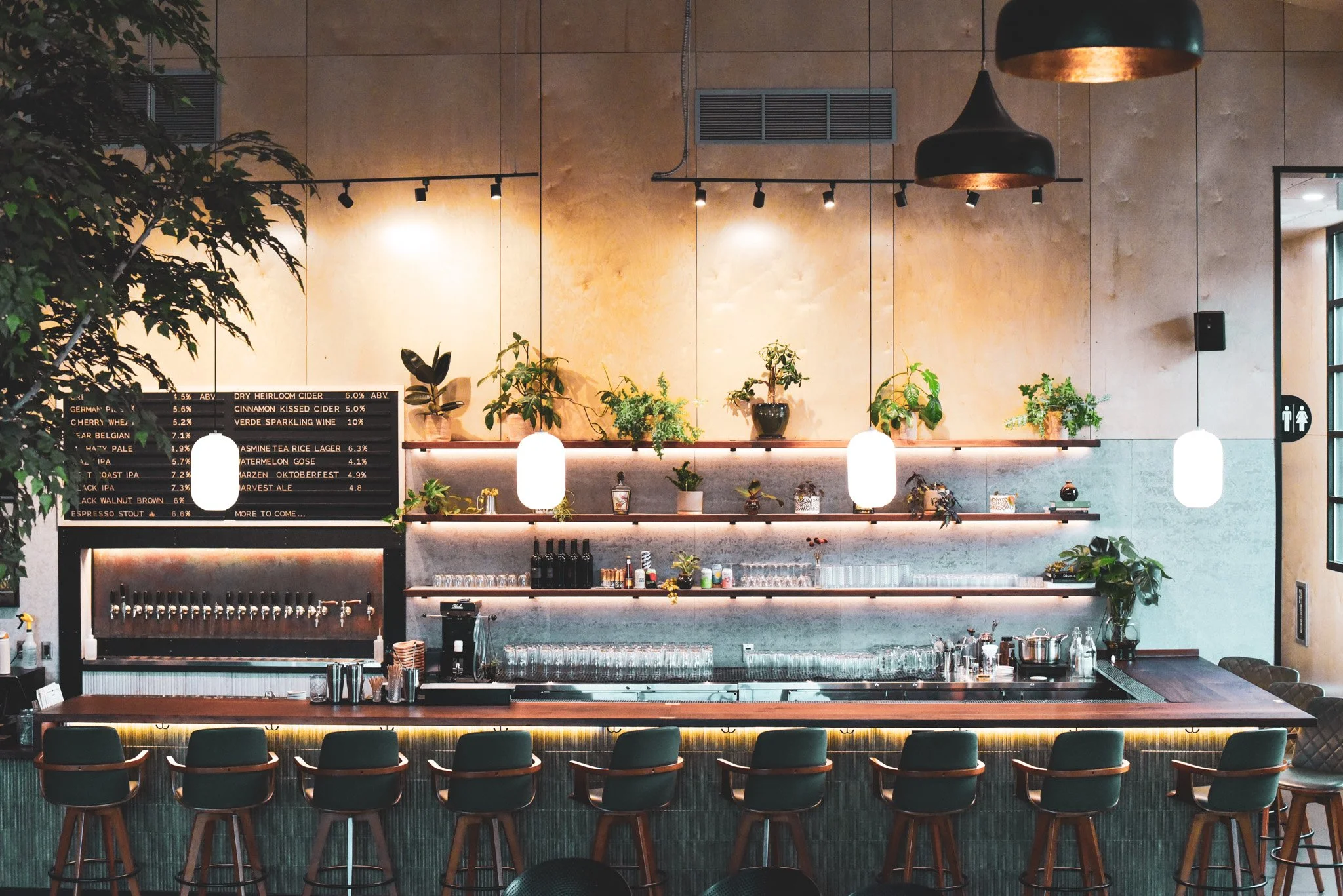 Designers Seeking the Forest