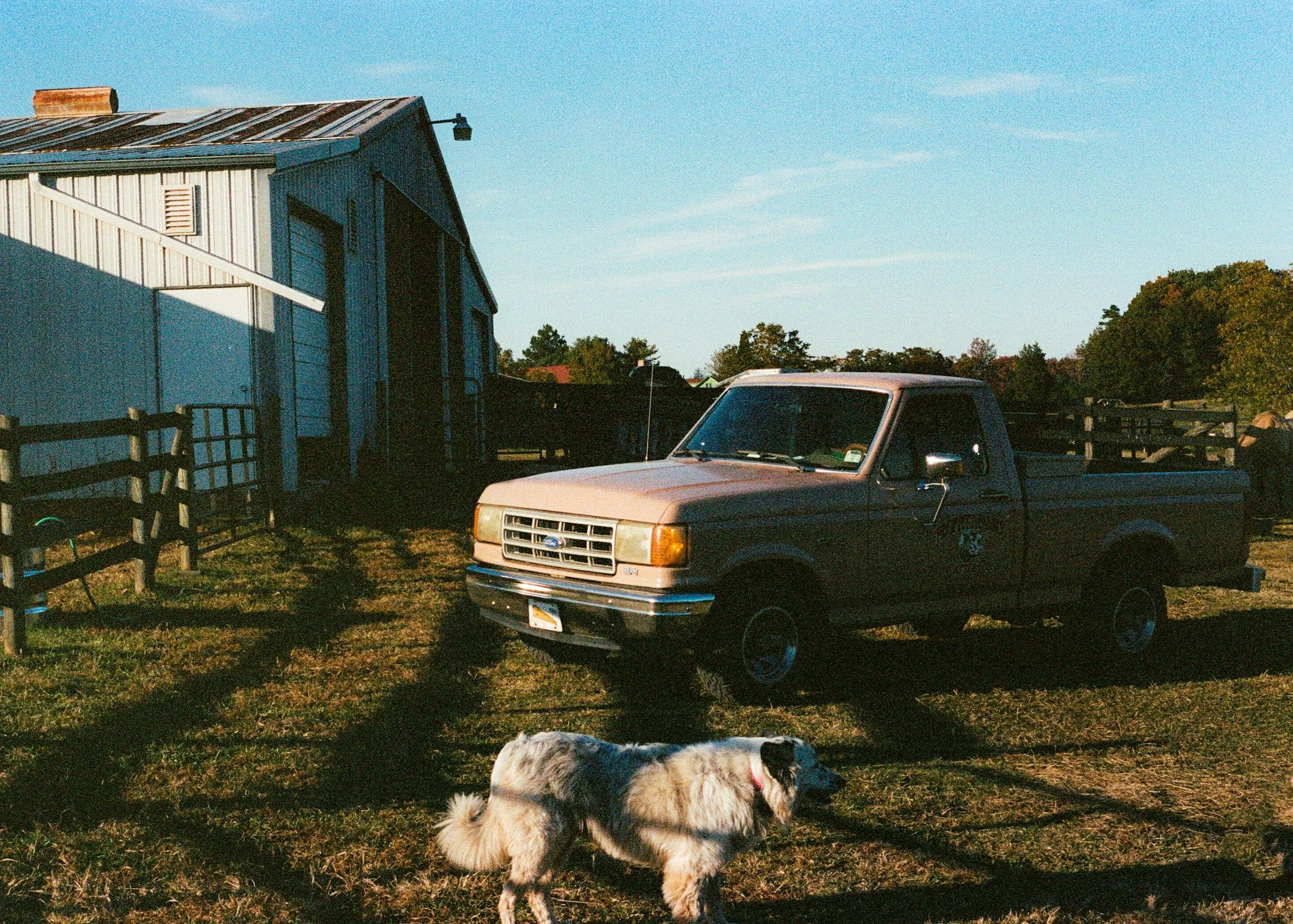 A farm scene during daytime featuring a gray pickup truck parked on a grassy area, a large white barn, and an Australian shepherd dog with a red collar on the ground. There are trees and clear blue sky in the background.