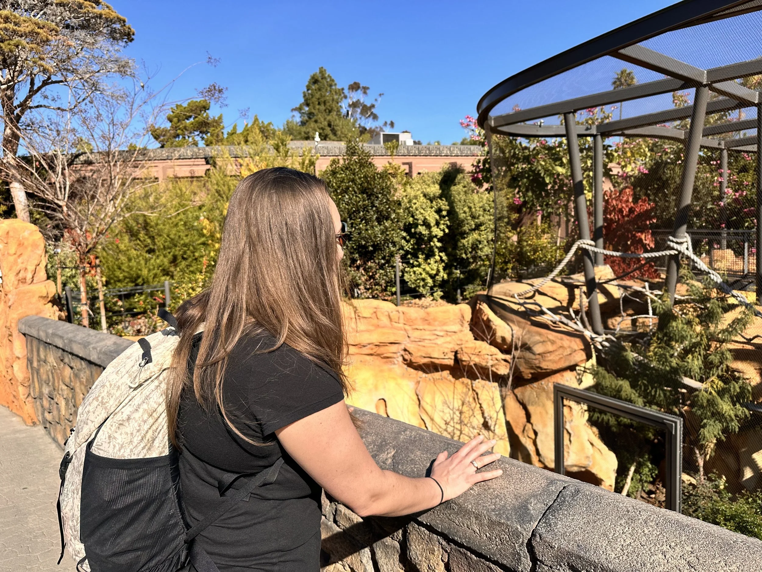 San Diego Zoo Wildlife Alliance