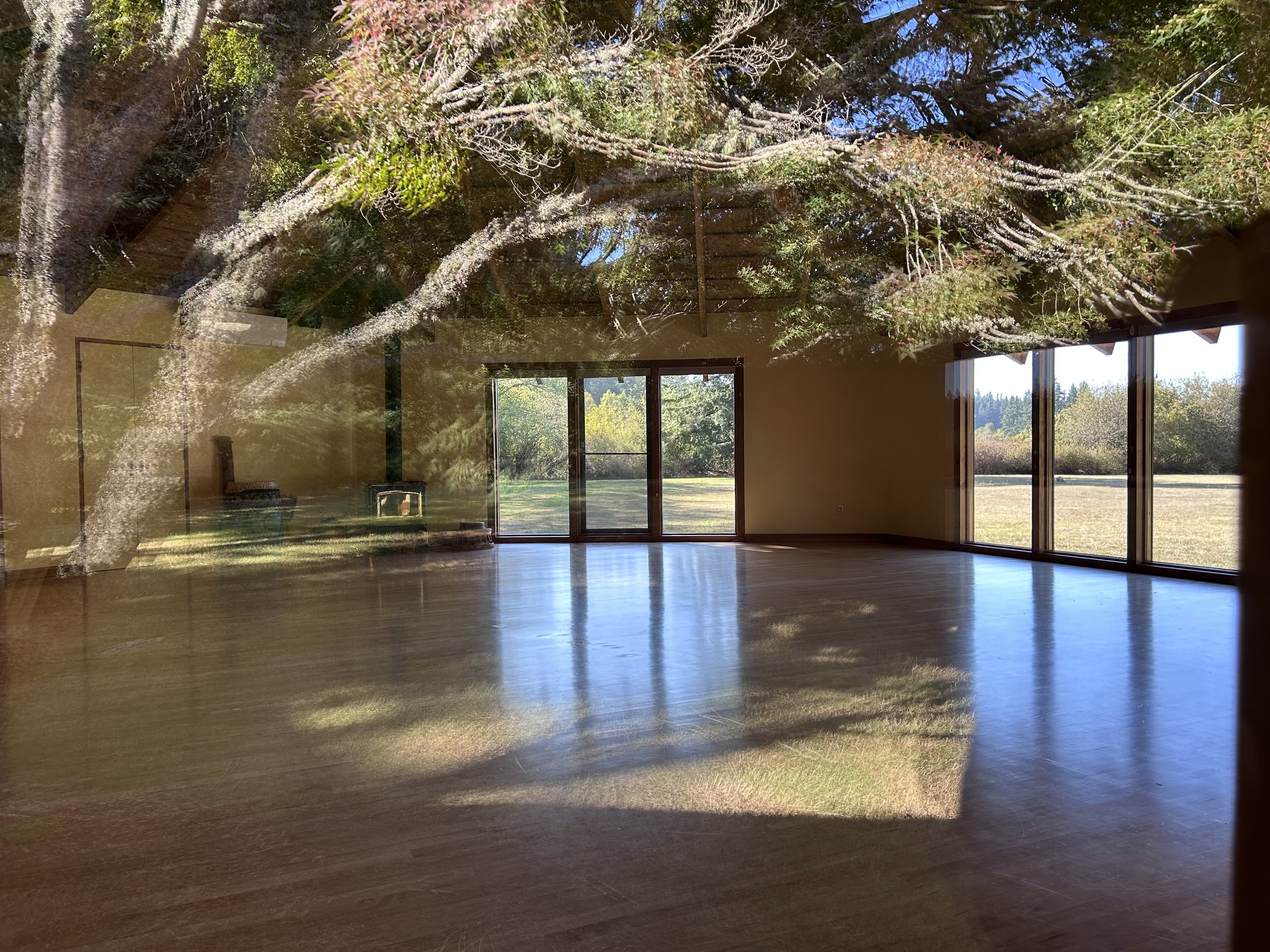 Outside looking in, calm peaceful space and tree reflection.