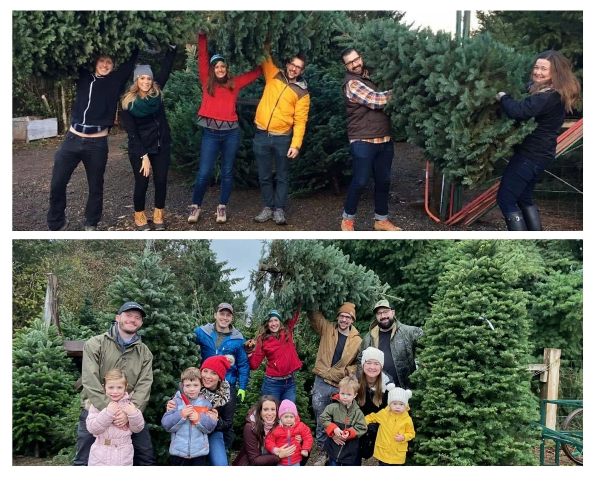 Two groups of people posing with Christmas trees outdoors. In the top group, six young adults stand in front of evergreen trees, smiling and lifting one tree. In the bottom group, several adults and children smile and pose among Christmas trees with