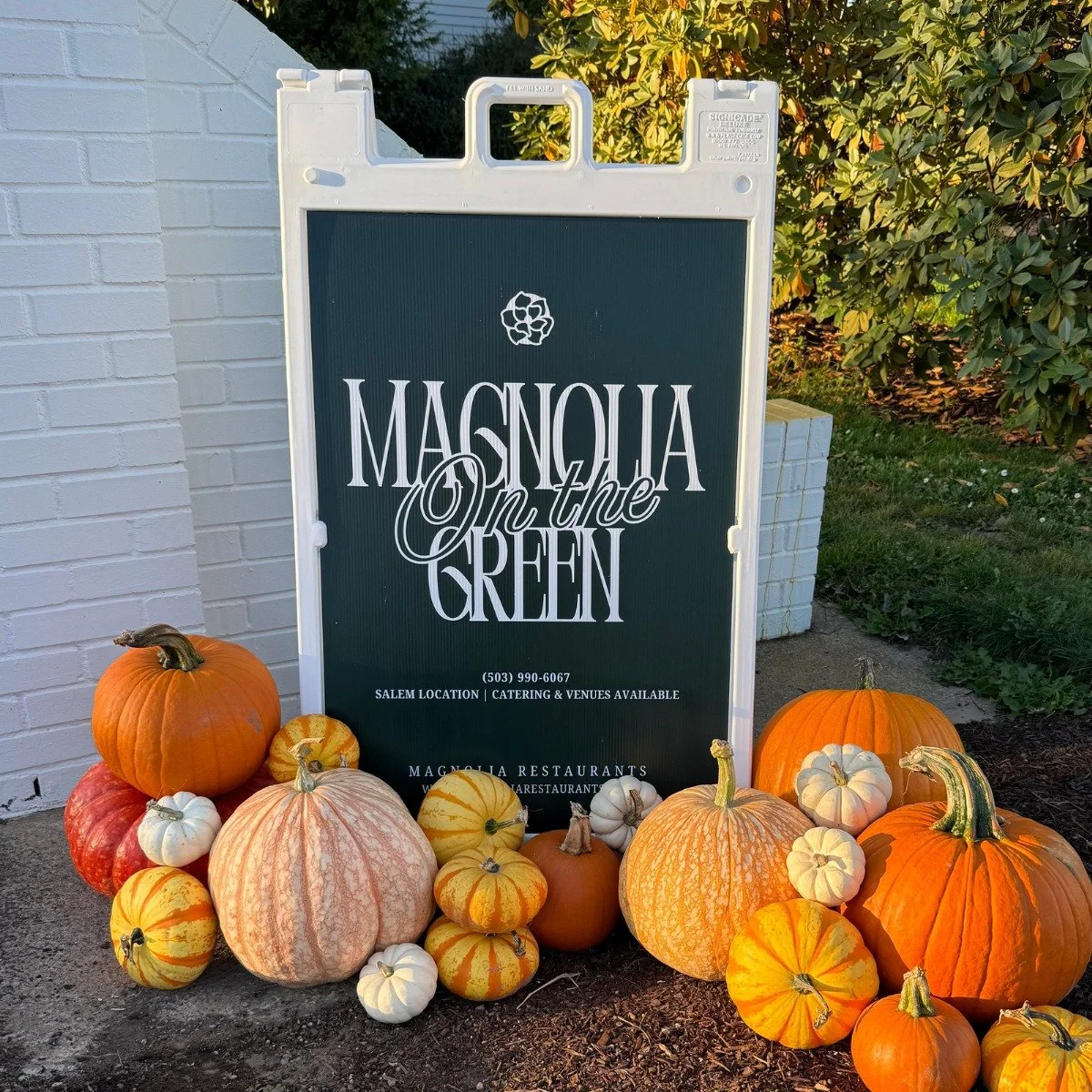 A blackboard sign with white text reading "Magnolia on the Green" placed outdoors on a sidewalk. Several pumpkins and gourds of various sizes and colors are arranged at the base of the sign. A white brick wall is on the left, and green bushes are in