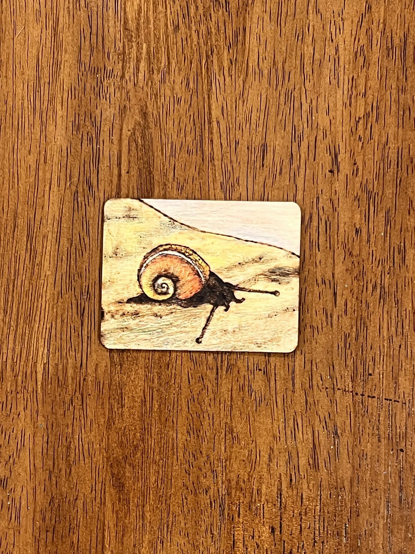Snail