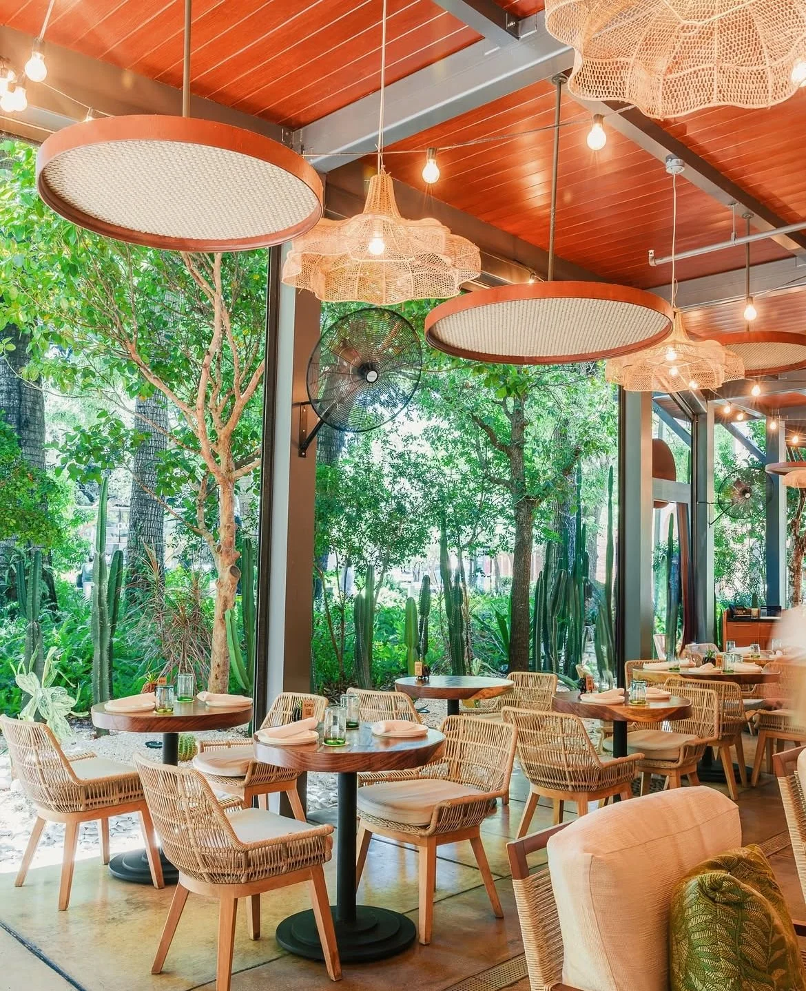 WhatsApp Image 2026-01-07 at 3.05.14 PM.jpg