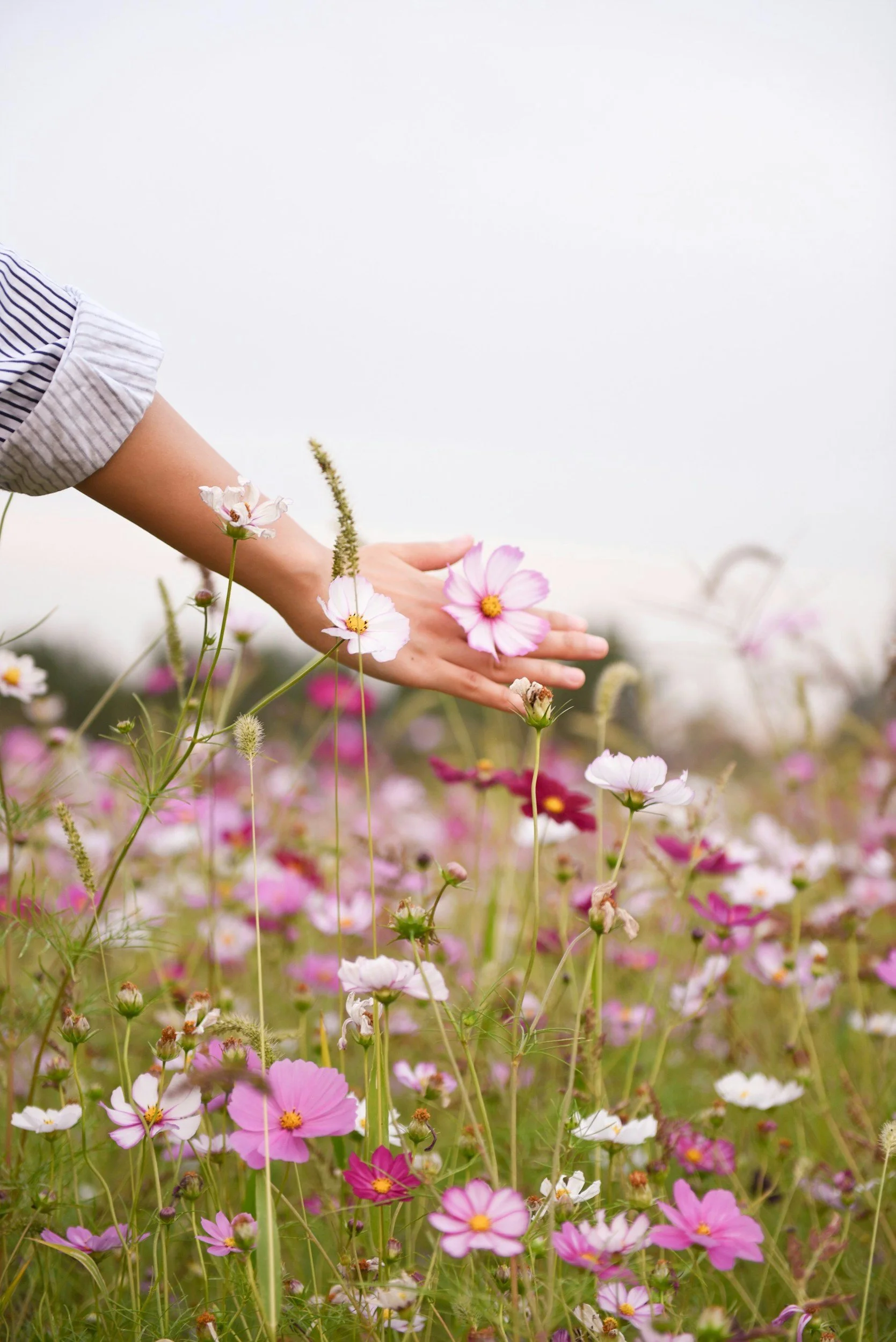 “Moving On” vs. “Moving Forward”: What Healing Really Looks Like