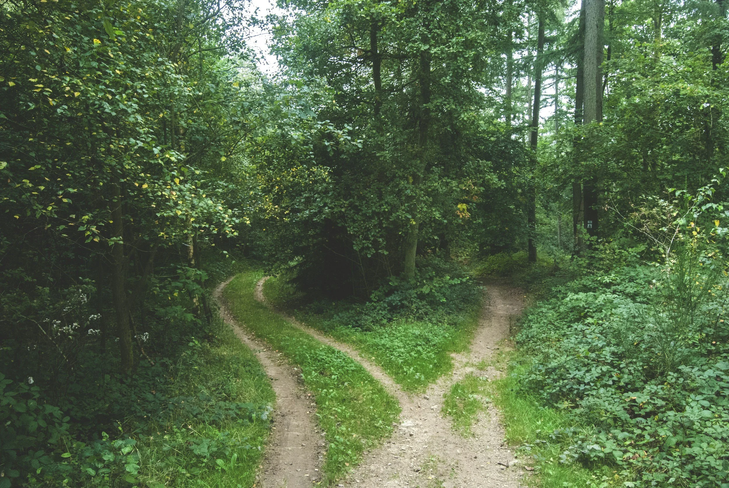 When Life Changes Faster Than You Can Keep Up