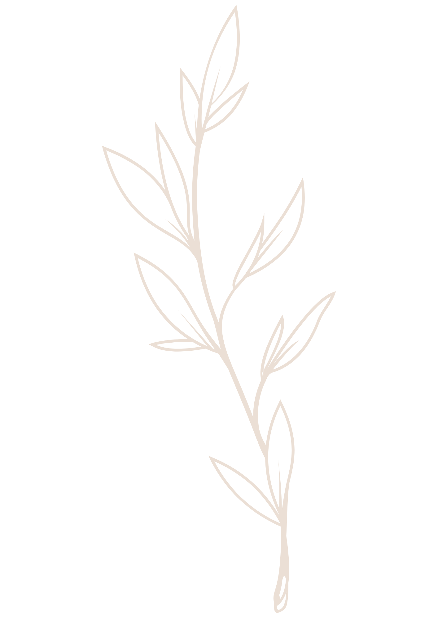 Fine line outline of vines