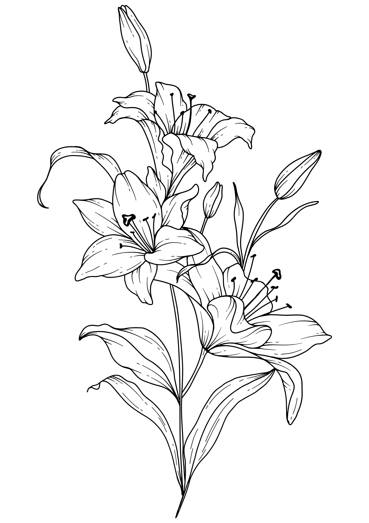 A black and white minimalist image of a flower, representing Daylily Therapy, located in The Heights, Houston, Texas. Where therapy is offered to adults experiencing grief, chronic illness, and life transitions.