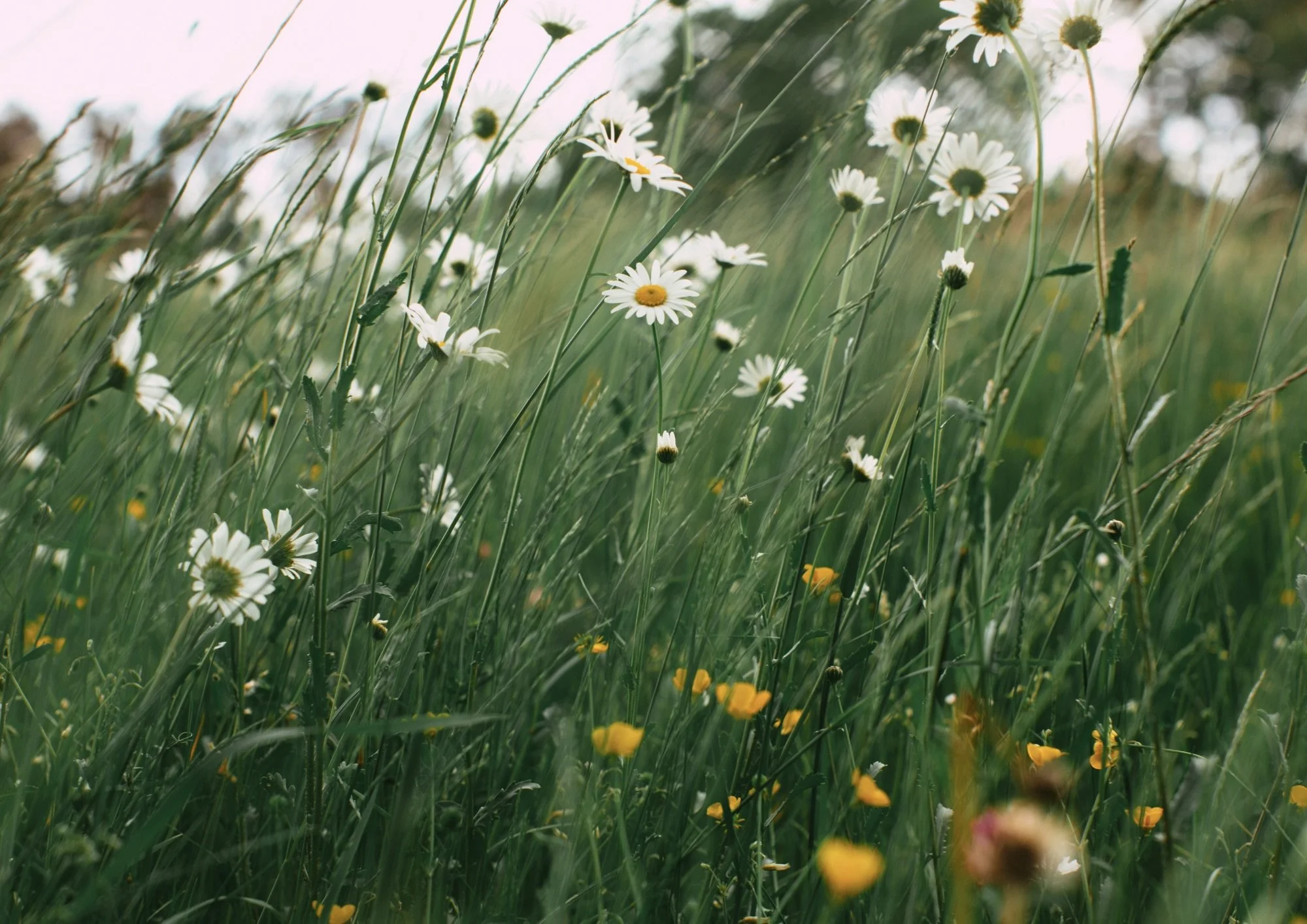 Find Finding healing and support when living with chronic illness