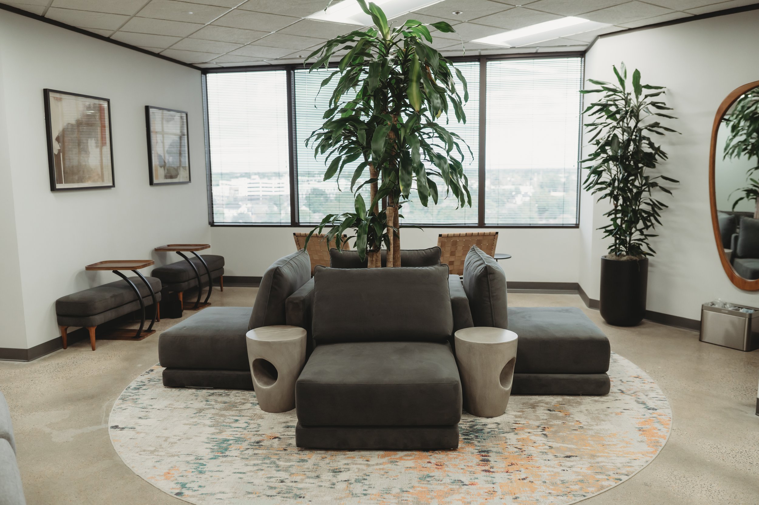 The waiting area for Daylily Therapy in The Heights, Houston. It features a central large green plant, a gray cushioned sofa, two small round stools, and framed artwork on the wall.