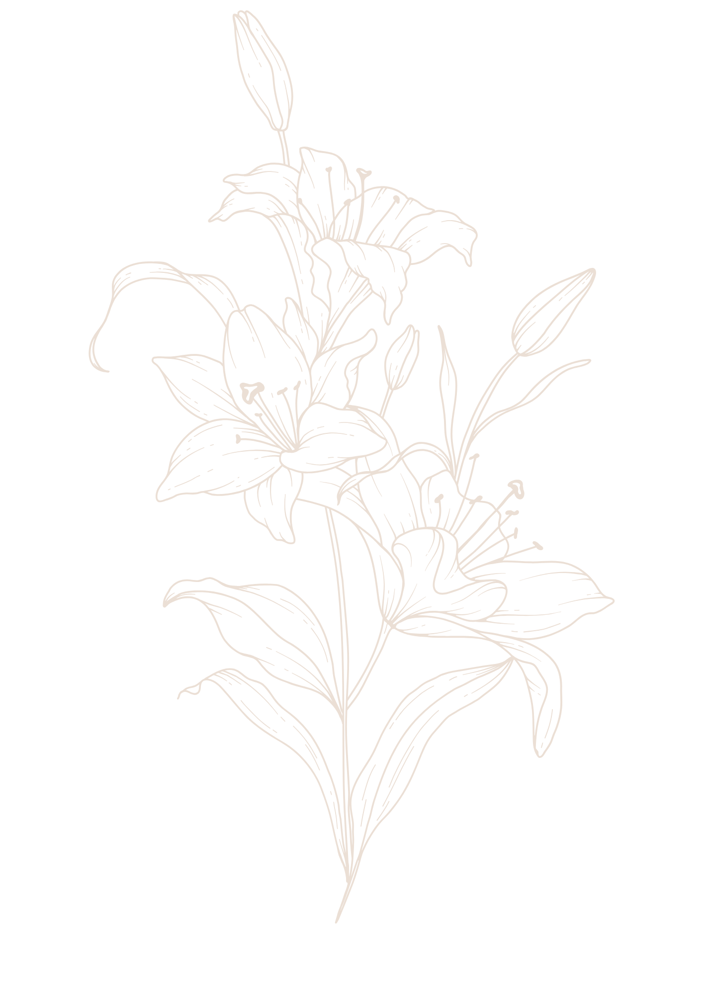 A simple minimalist line art drawing of an outline of a flower, symbolizing the natural and delicate process of grieving.