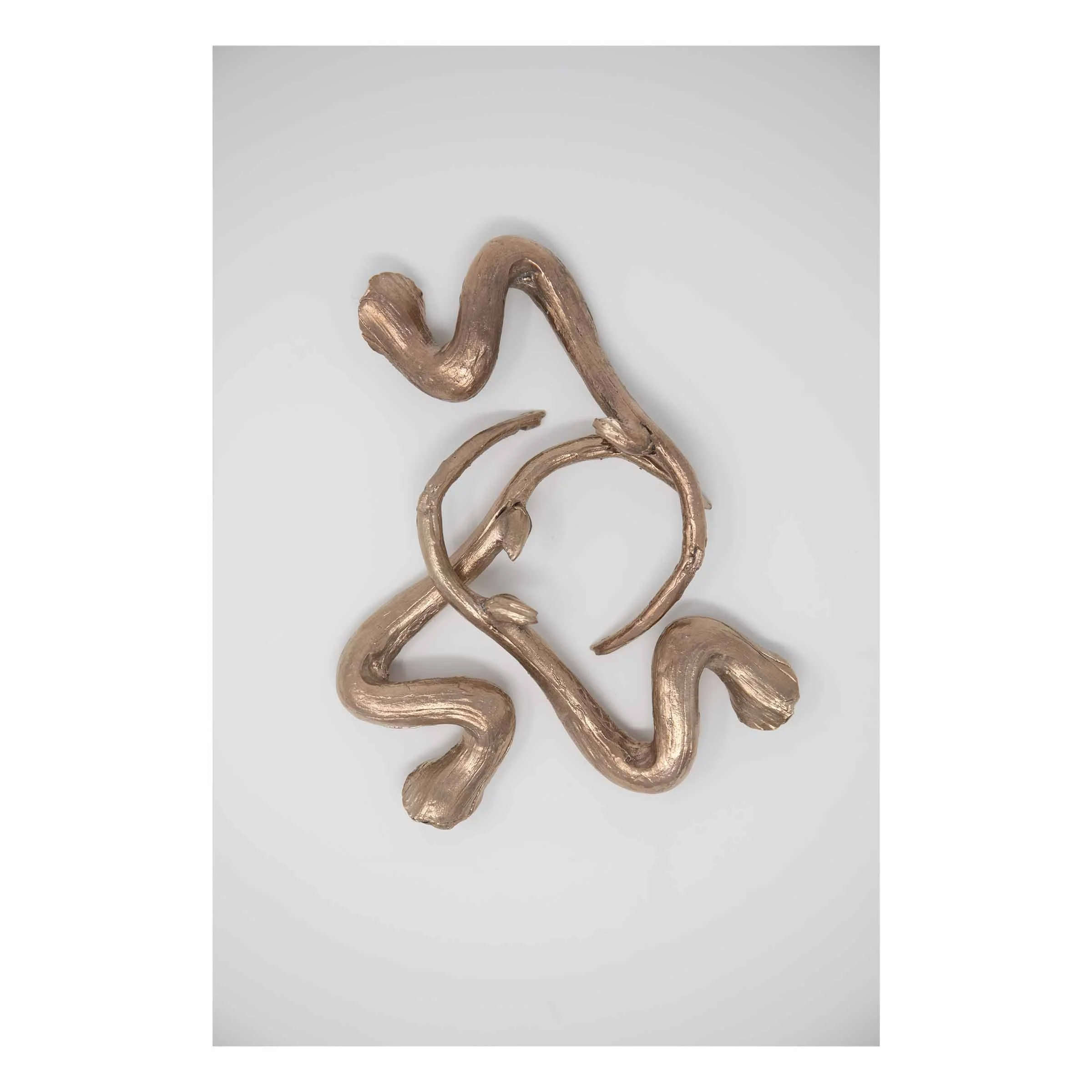 Arrested Decay: Driftwood 3
(Burnt Island, Maine), 2024.
Bronze — 8" x 6" x 1.25" (variable).