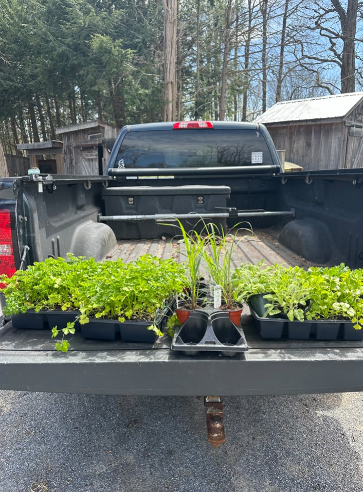 Starting to Look at Fifty