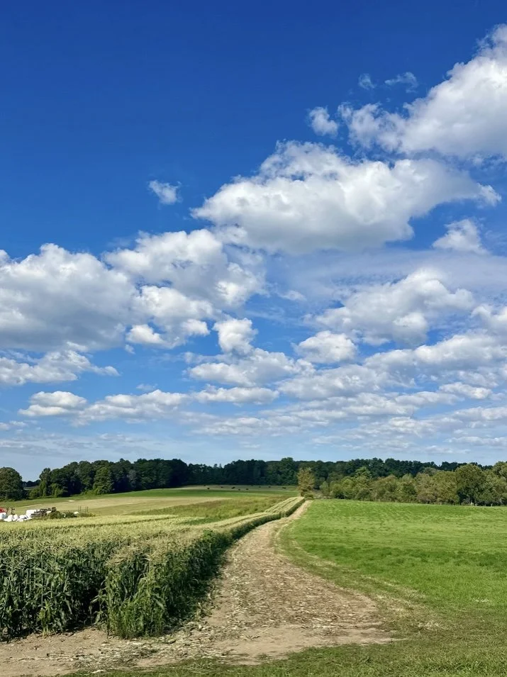 Six Hundred and Eleven