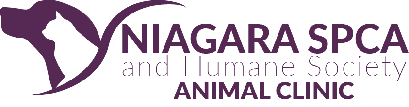 Wellness Clinic | Niagara SPCA and Humane Society