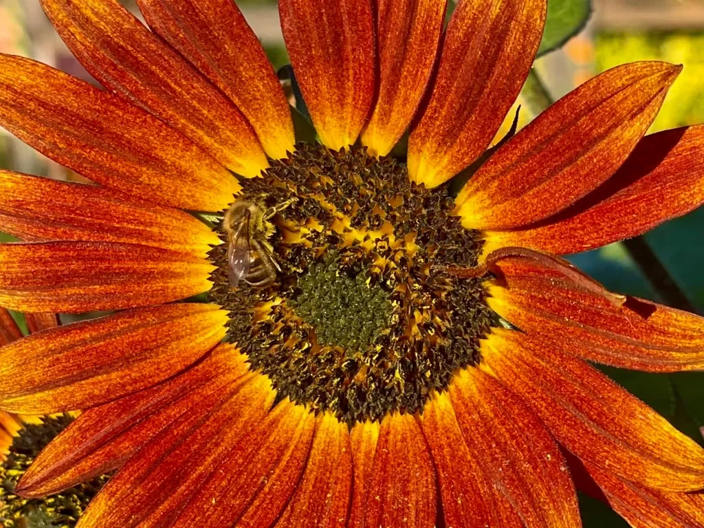 A Passion for Learning