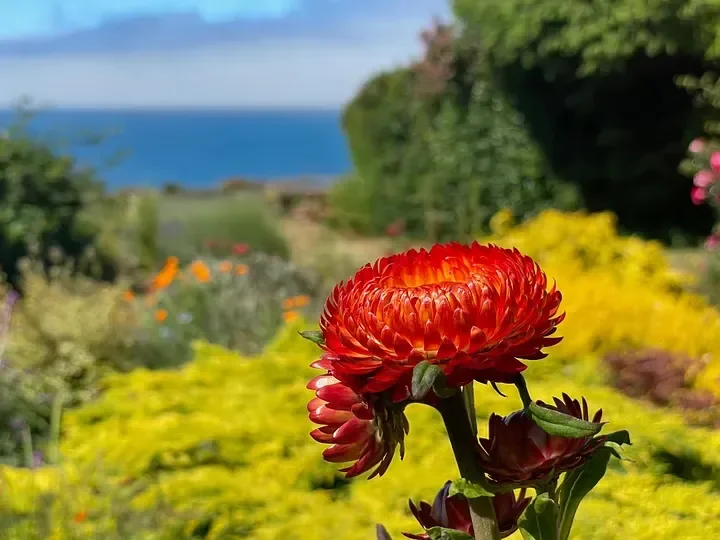 In a Season of Darkness, Grow Towards the Light